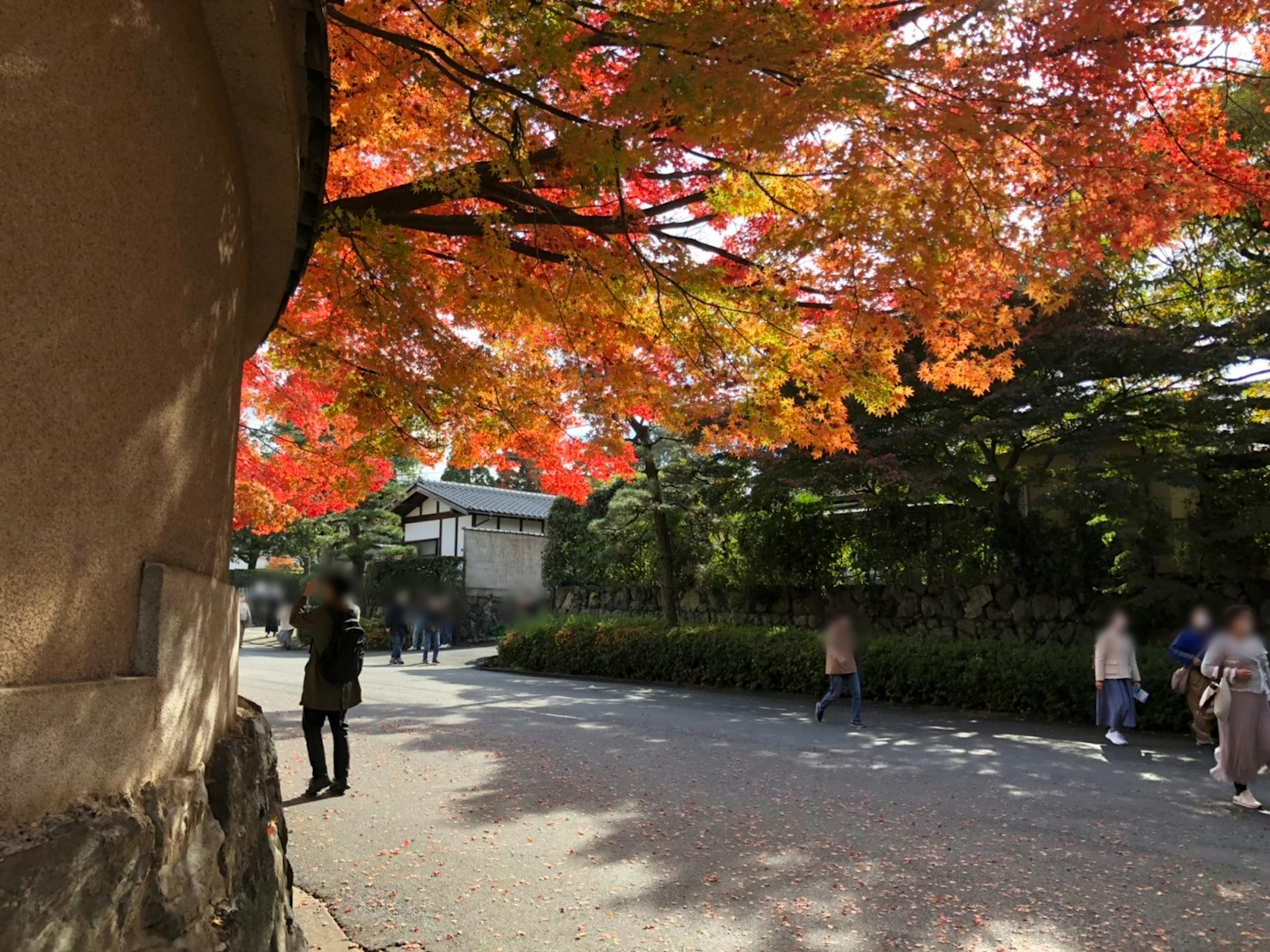 Scenic view of people walking along a path with vibrant autumn foliage