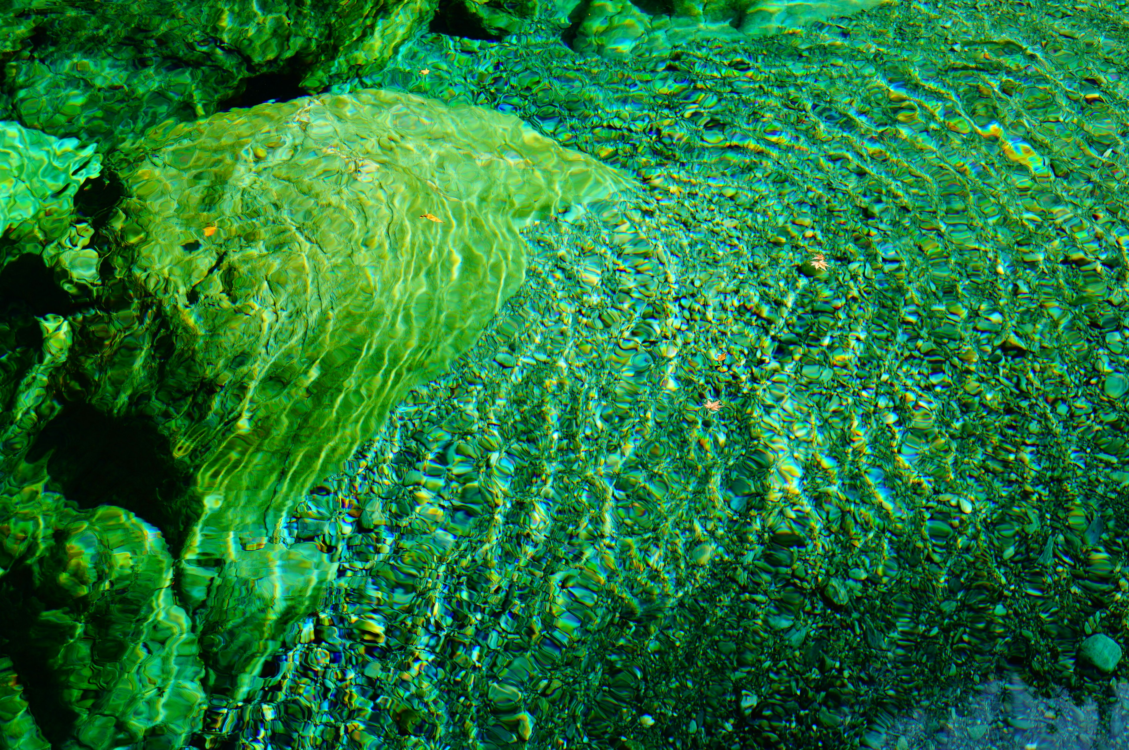 Scène sous-marine avec des rochers verts et de l'eau ondulante