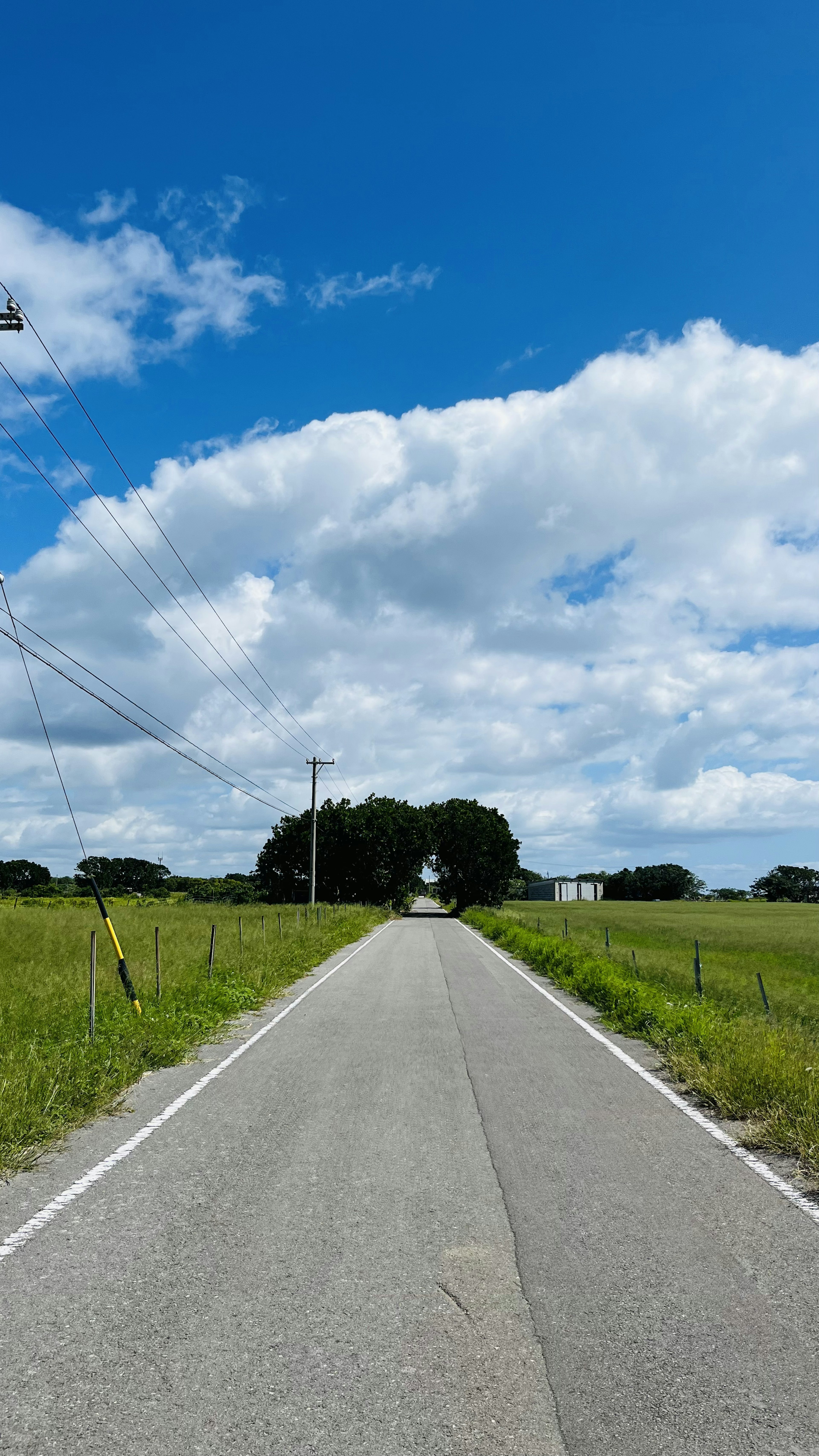 青空と雲が広がる道路の風景 緑の草原と木々が両側にある