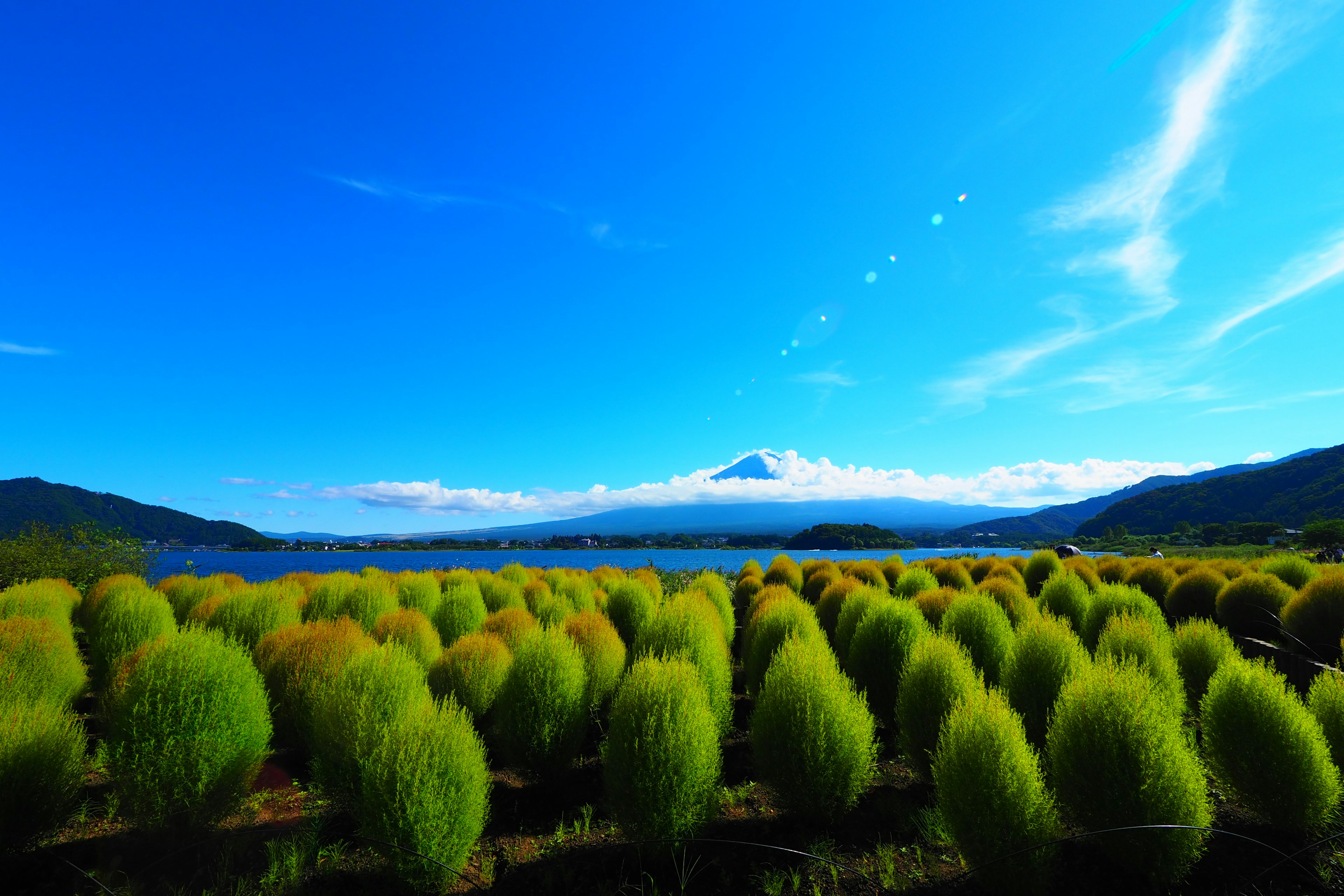 Paysage avec des plantes vertes et le mont Fuji en arrière-plan sous un ciel bleu