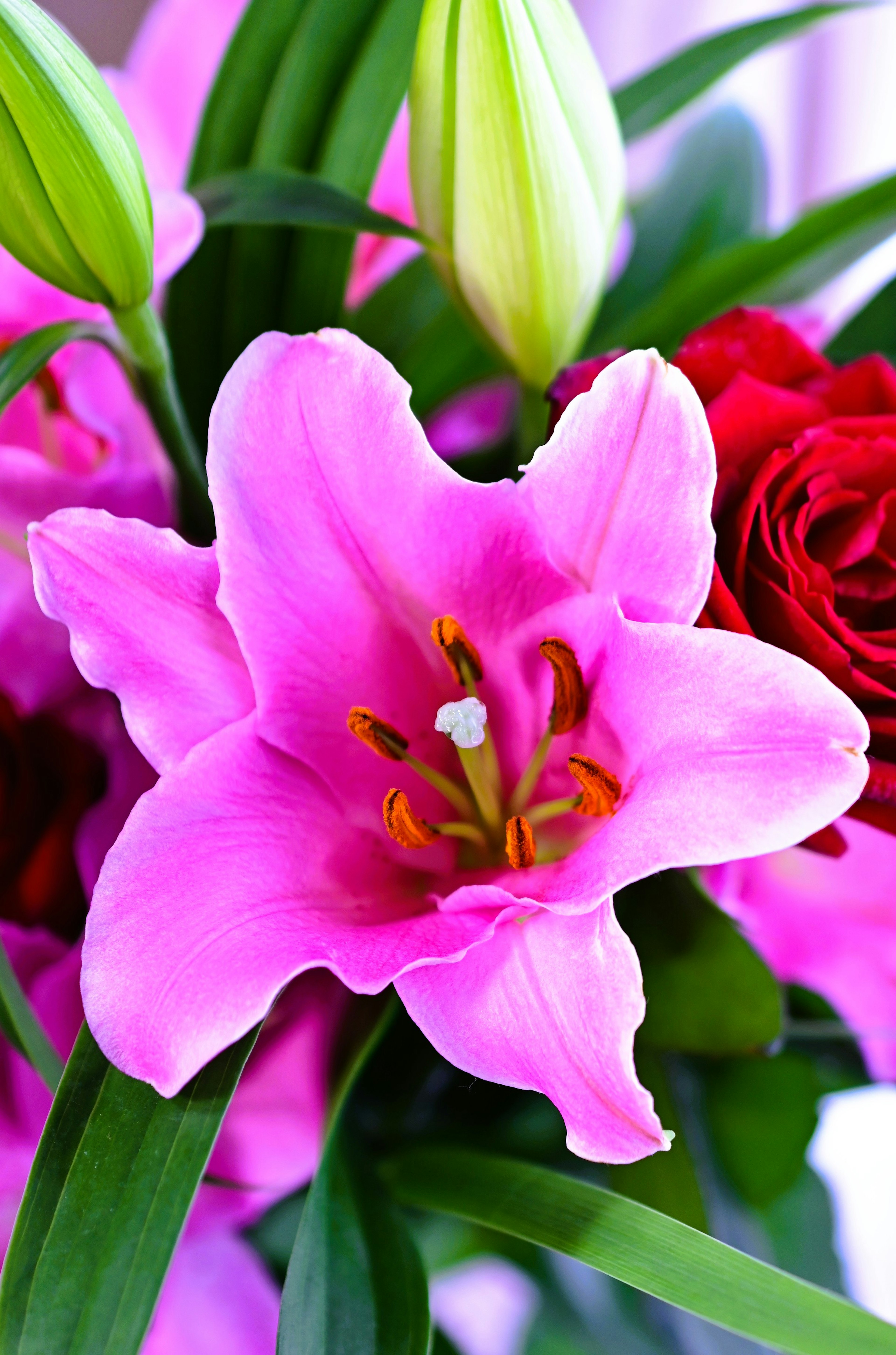 Gros plan sur un bouquet de lys roses et de roses rouges