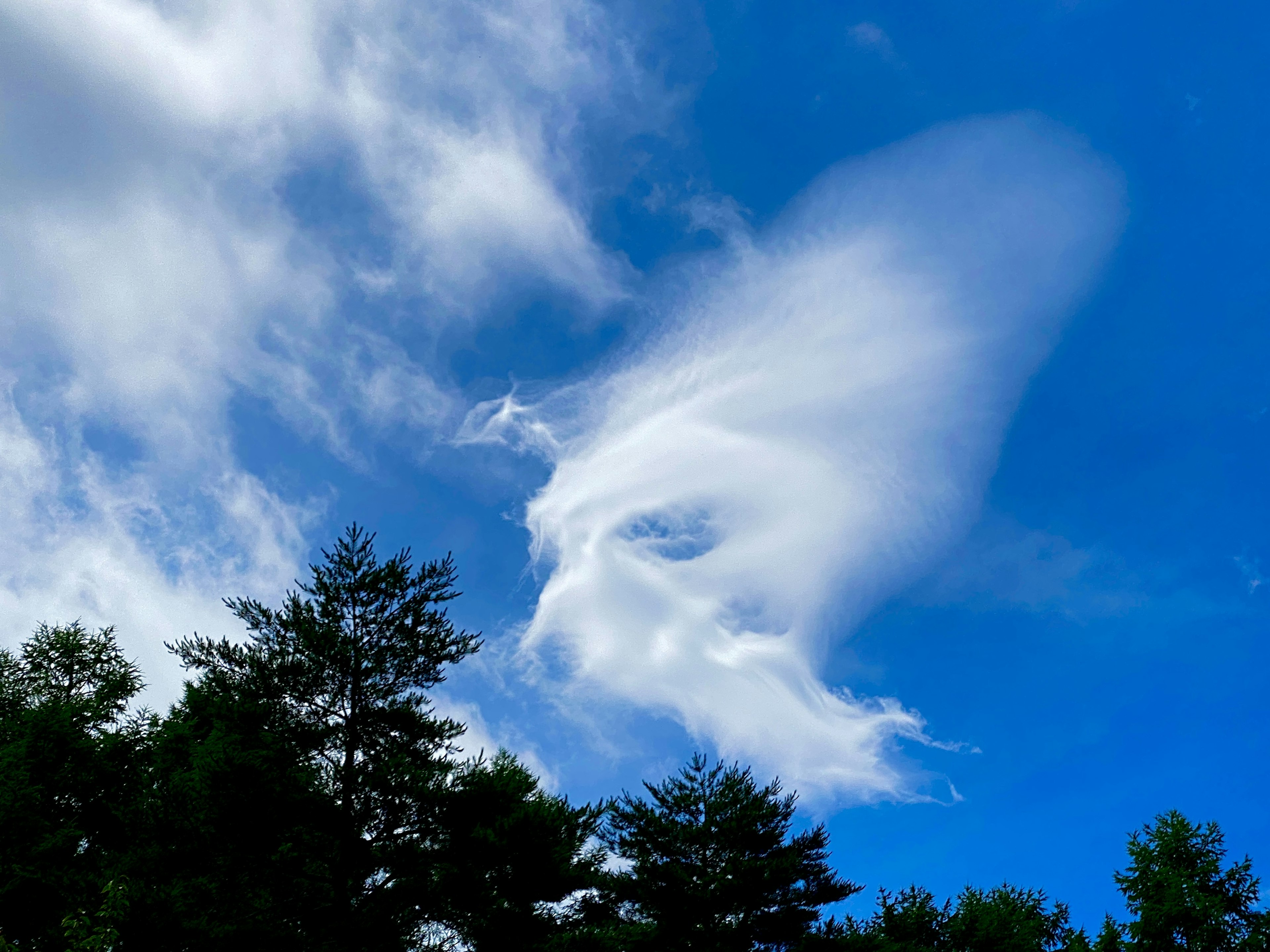 Formation nuageuse unique dans un ciel bleu avec des arbres en dessous