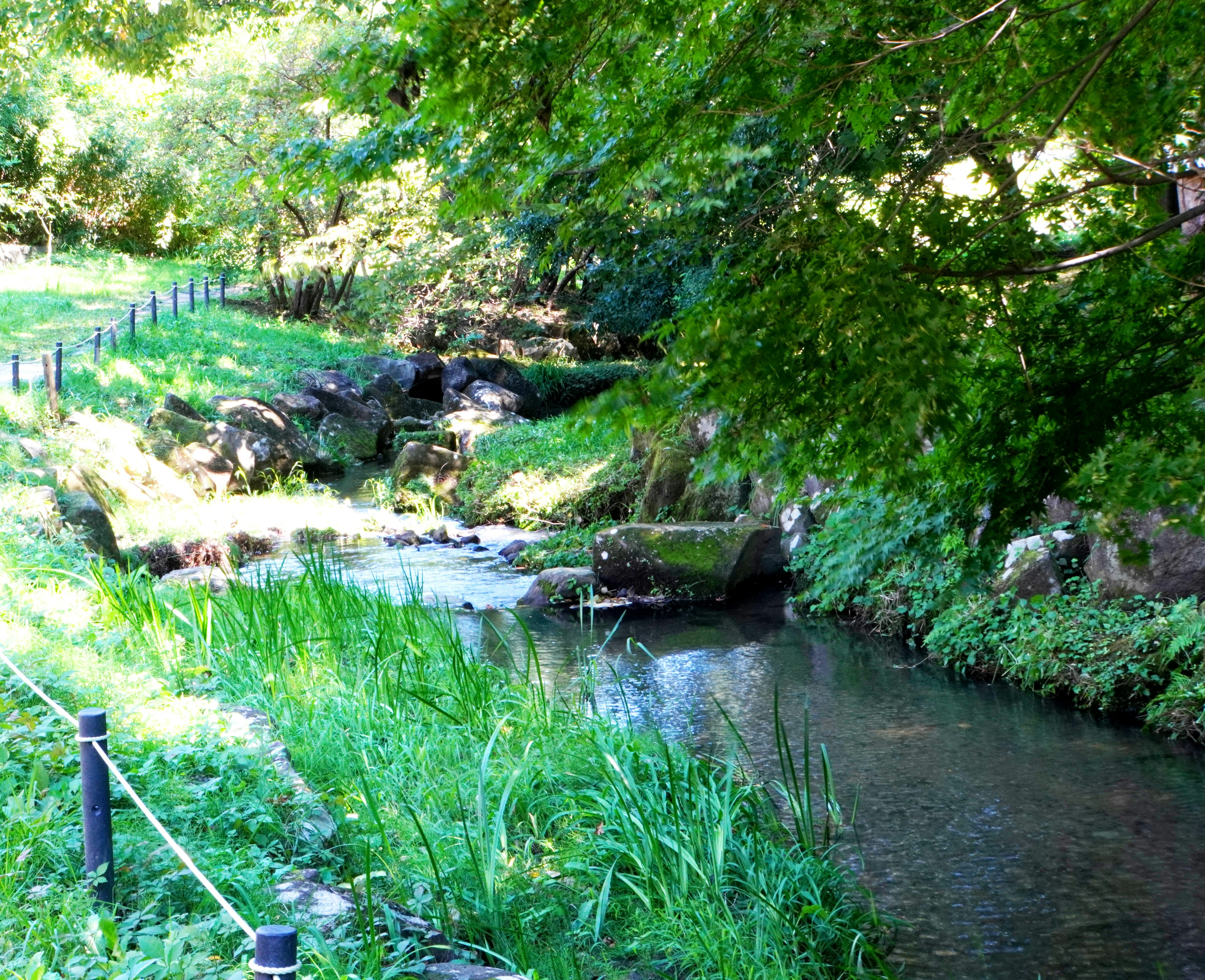 Üppige Flusslandschaft mit Gras und Bäumen am Ufer, die ruhiges fließendes Wasser zeigt