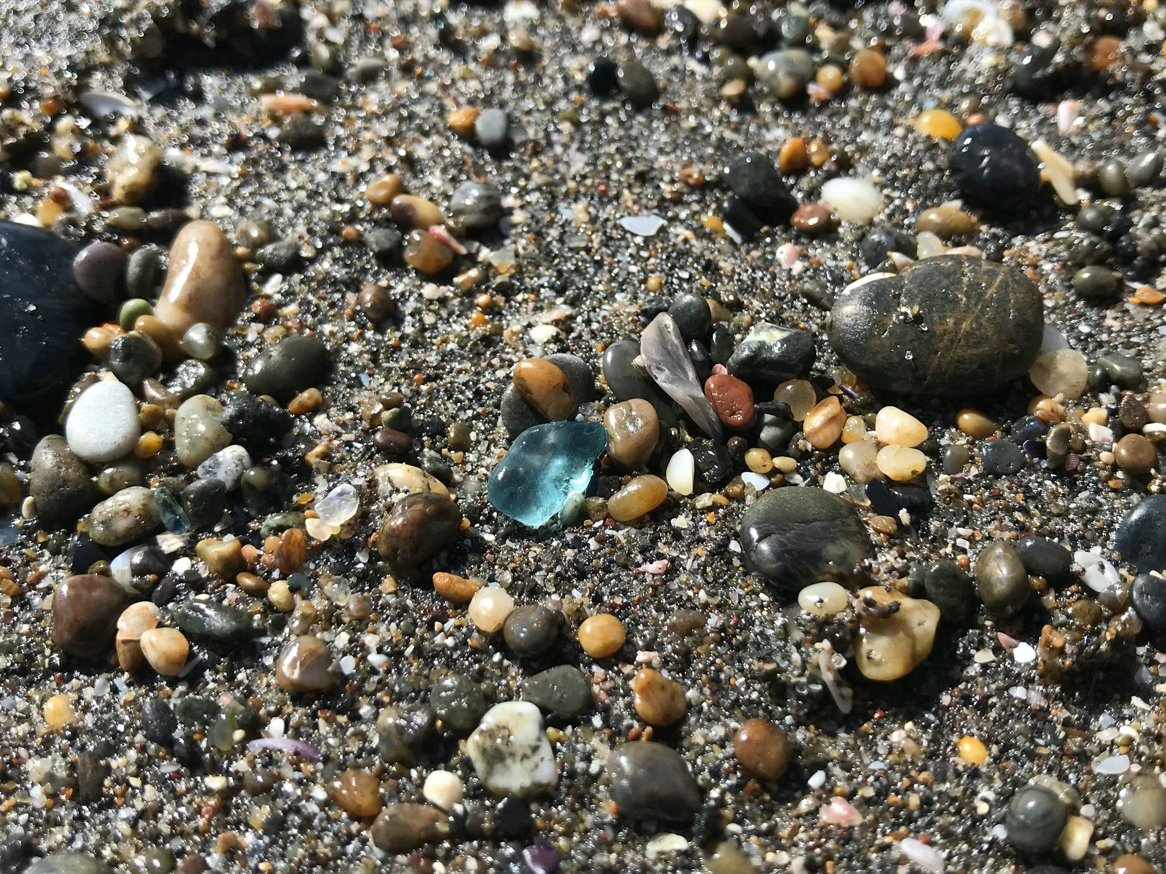 砂浜の小石や砂の中に埋もれた様々な色の小さな石