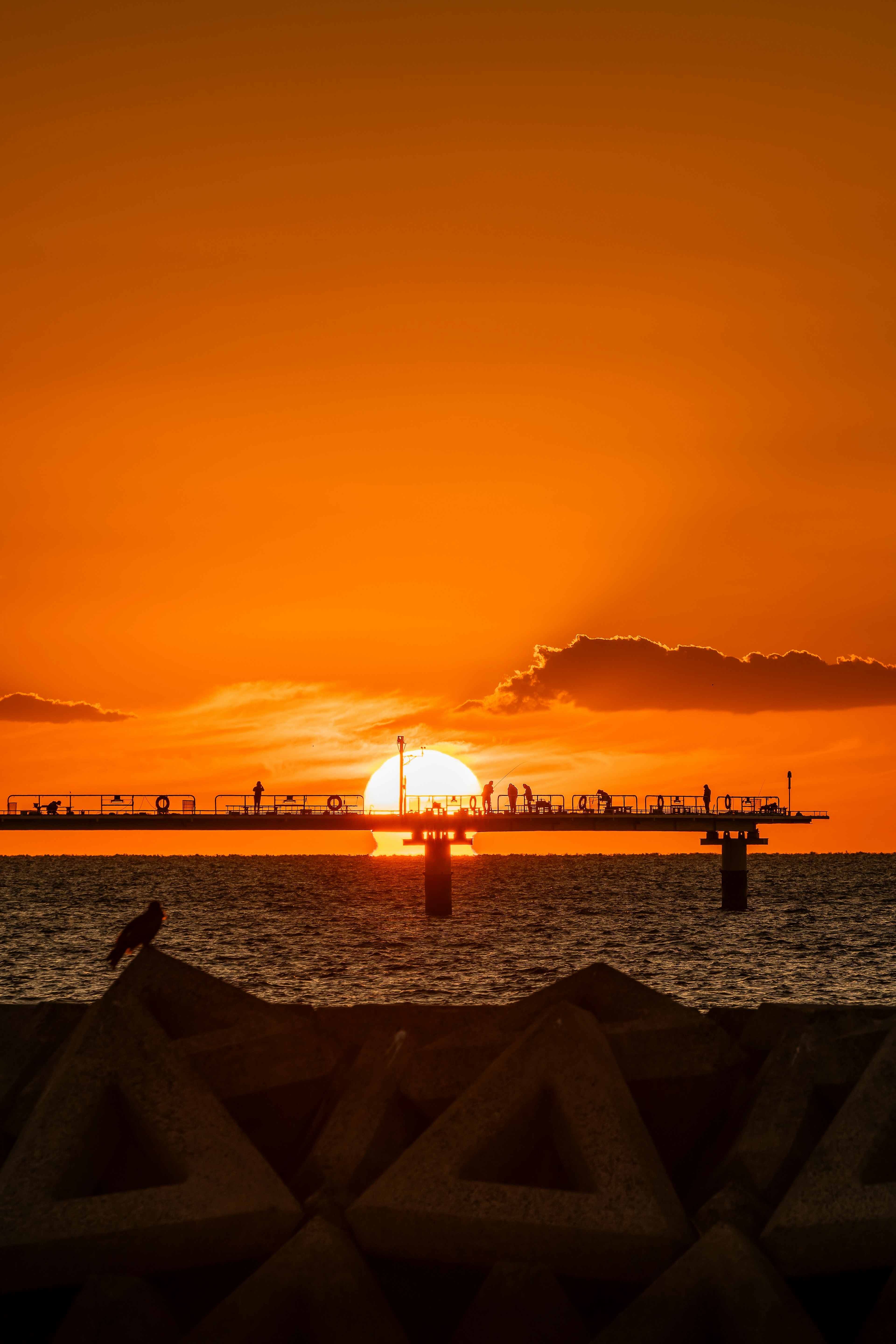 夕日が海に沈む美しい景色と桟橋のシルエット