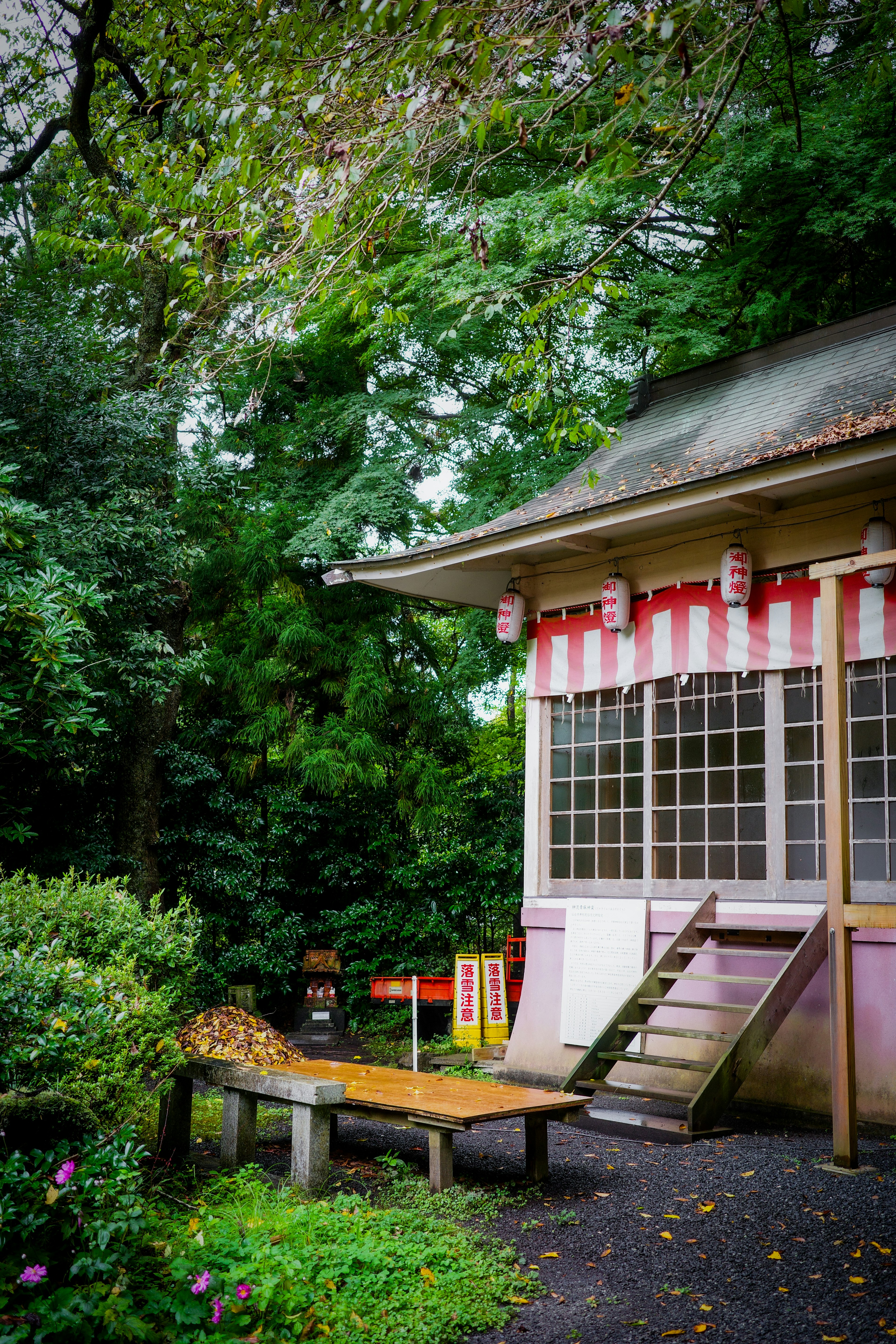 被绿树环绕的小神社建筑和木楼梯