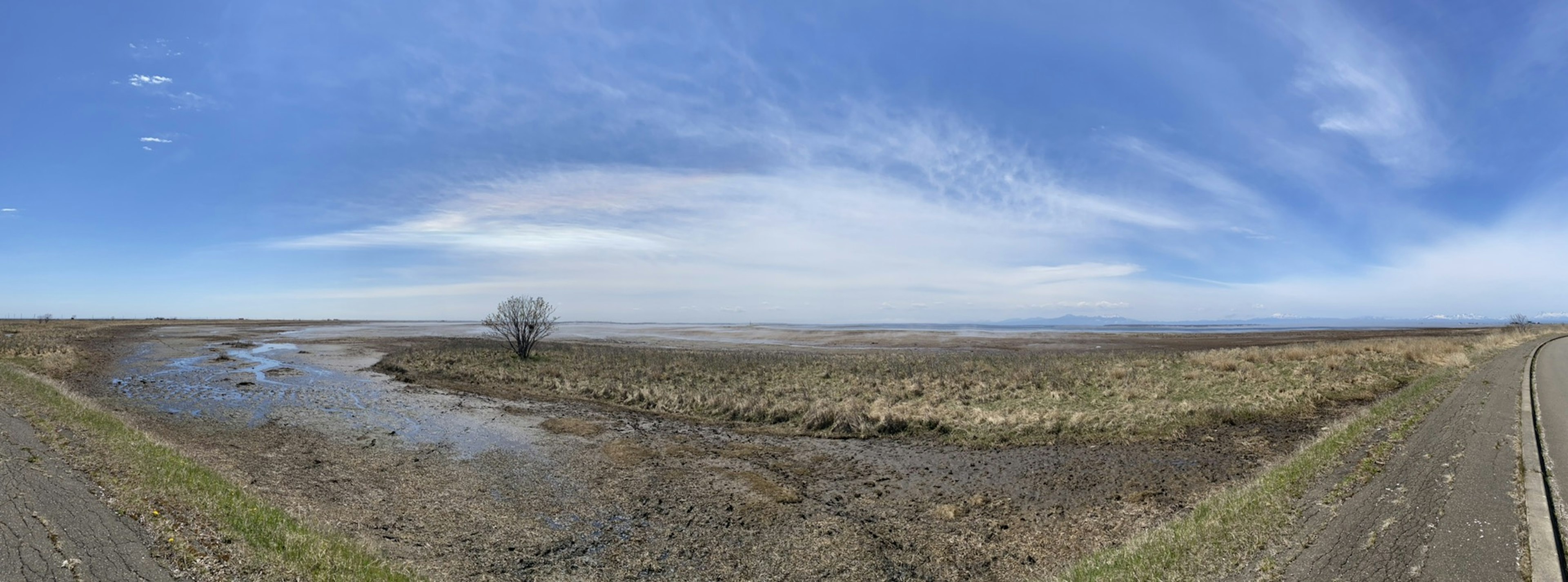 Pemandangan panorama lahan basah dan aliran di bawah langit biru