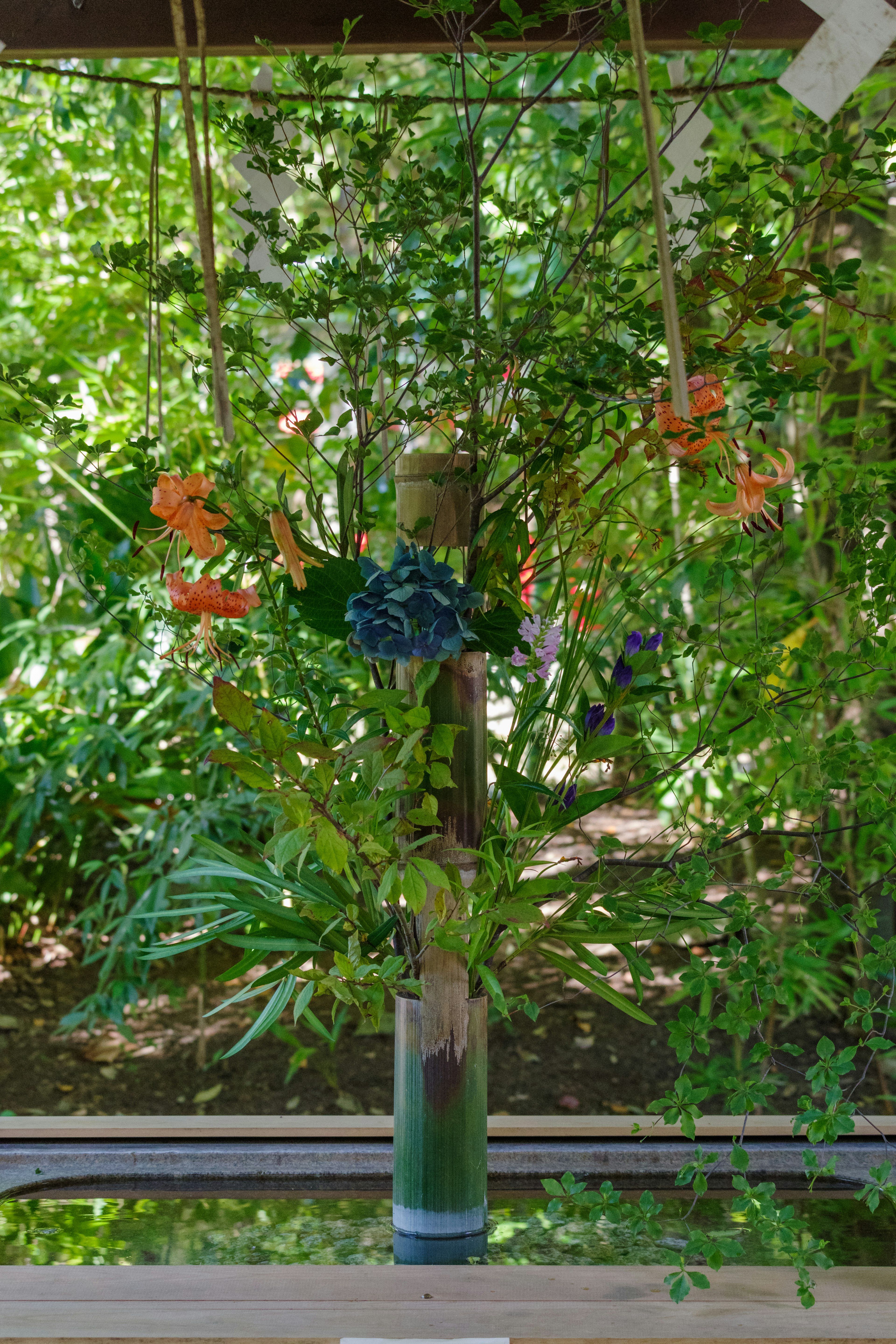 Vase with colorful flowers set against a lush green background