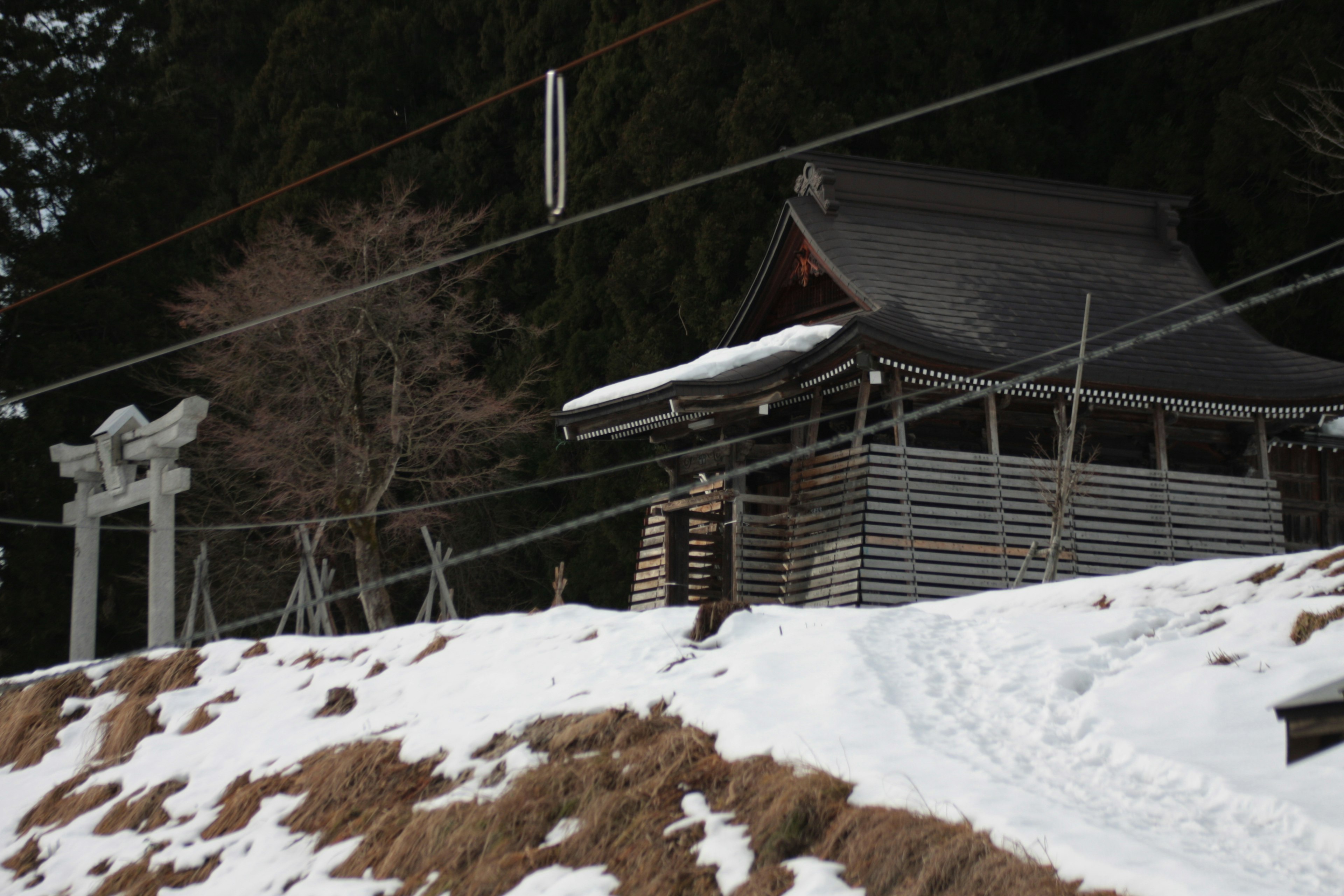 Santuario coperto di neve con un torii in un paesaggio sereno