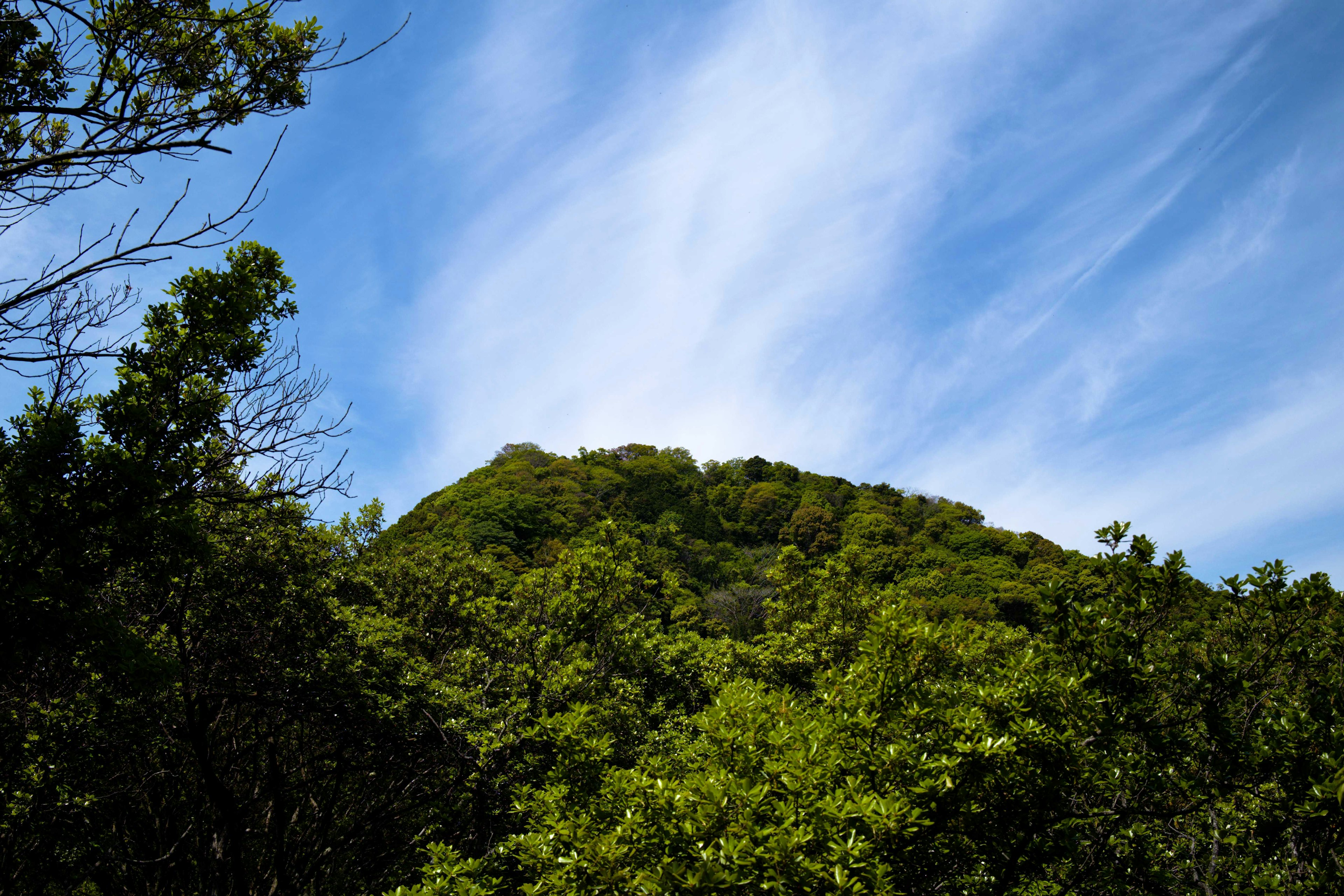 Pemandangan gunung hijau di bawah langit biru