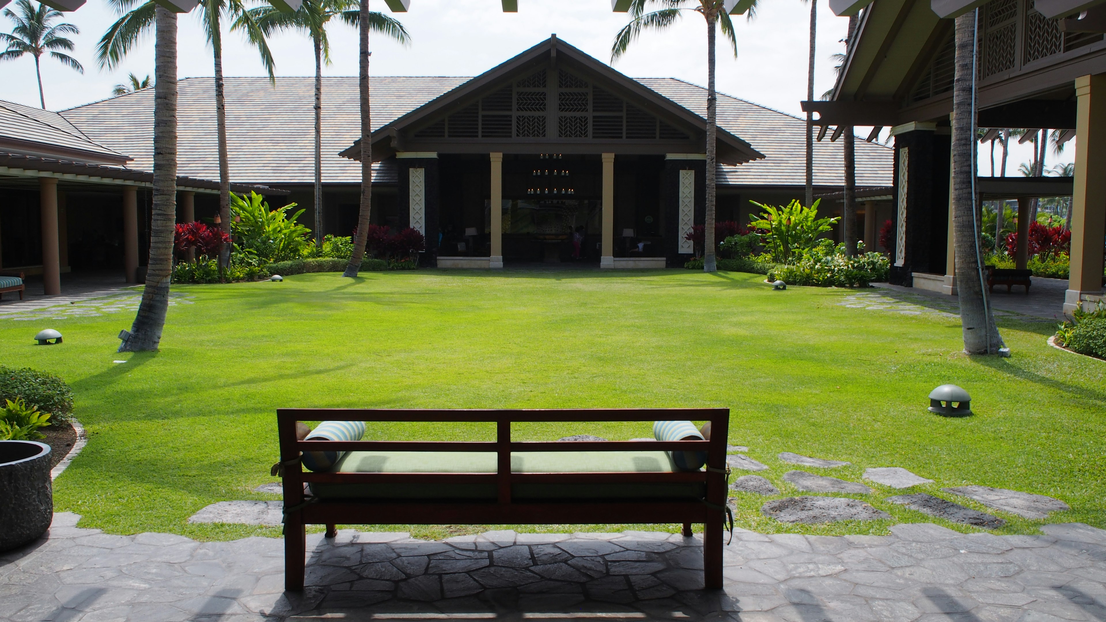 A garden view featuring a bench surrounded by green grass and palm trees