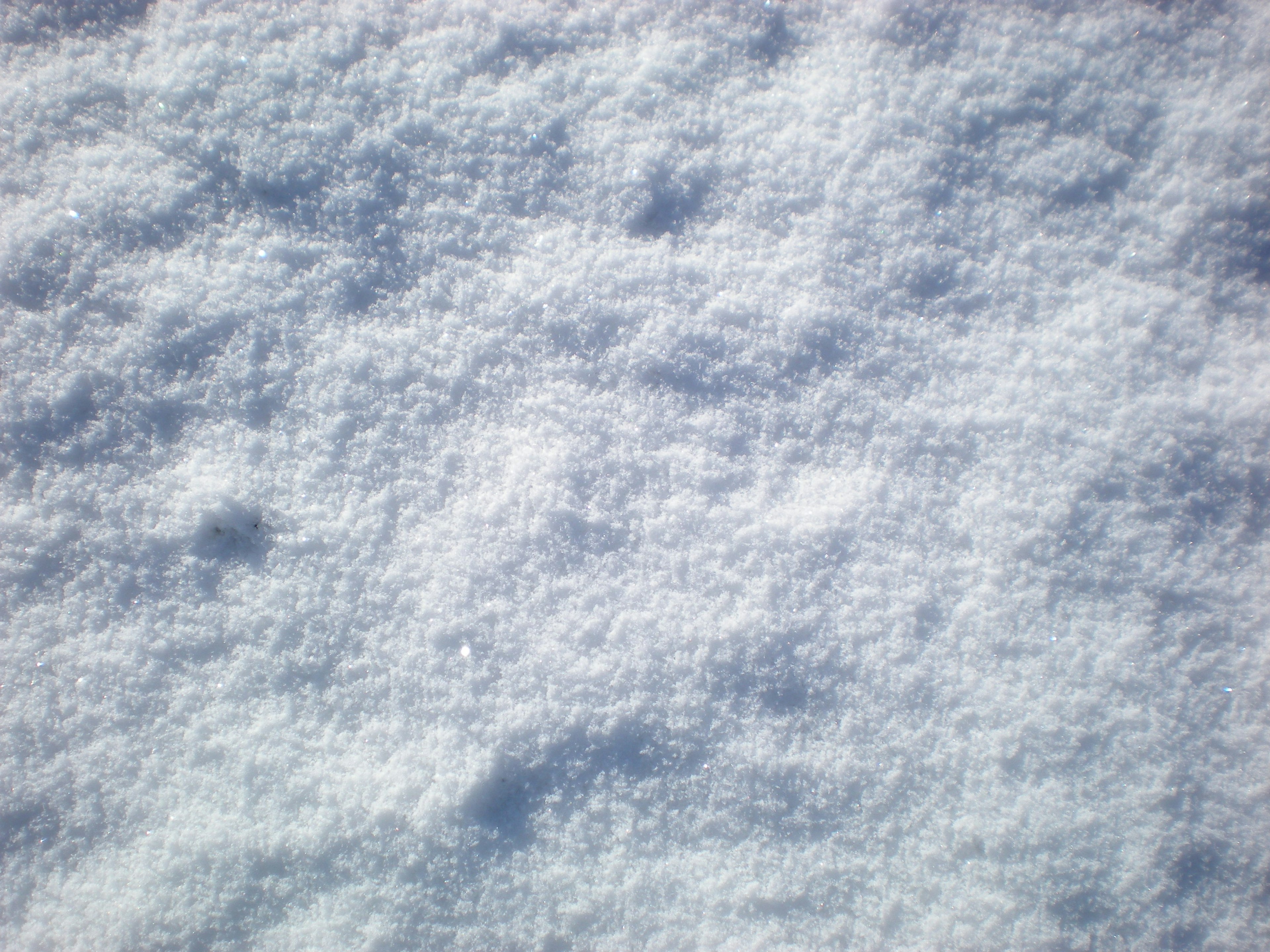 雪の繊細なテクスチャーと柔らかい白色の表面