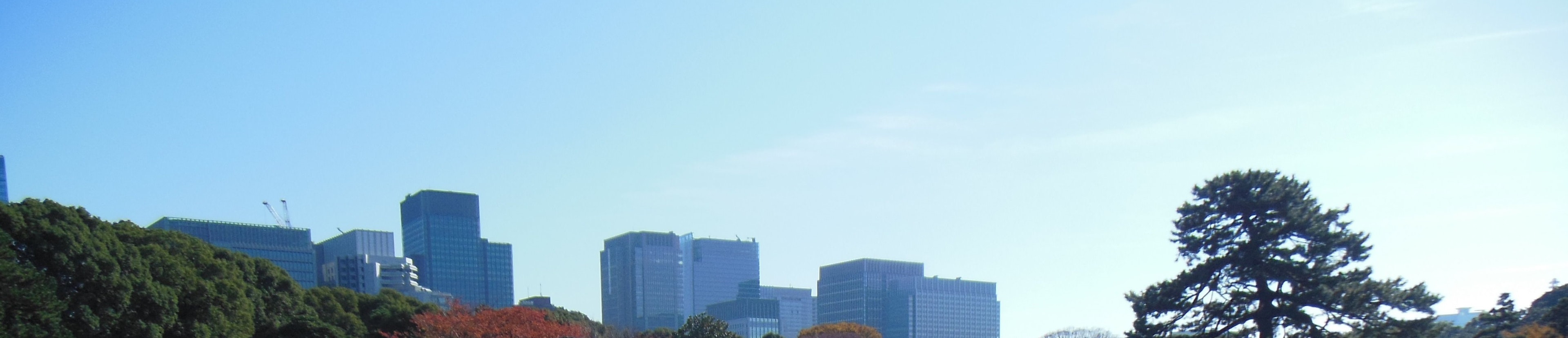 青空の下に広がる都市景観 ビル群と緑の木々を見渡す