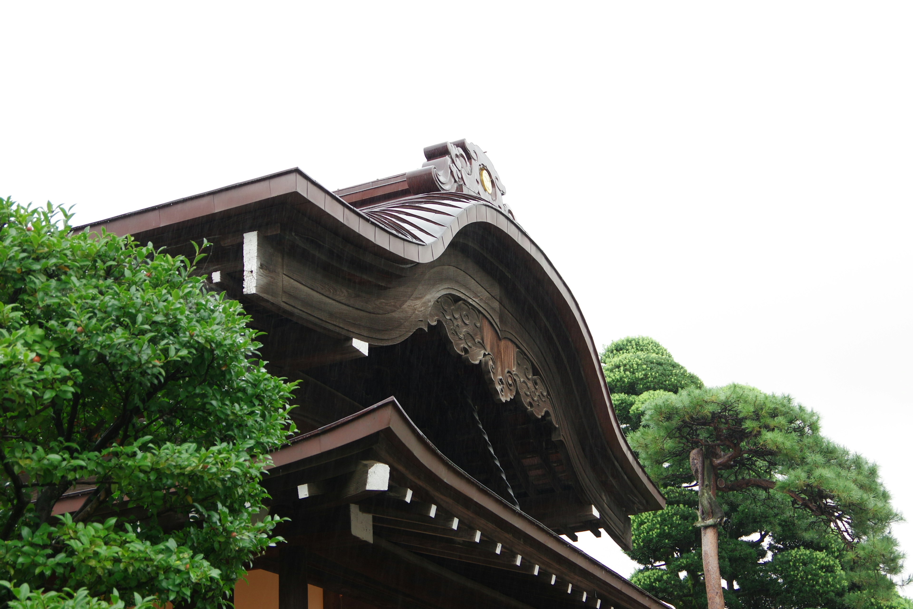 Toit d'un bâtiment japonais traditionnel avec des arbres verts