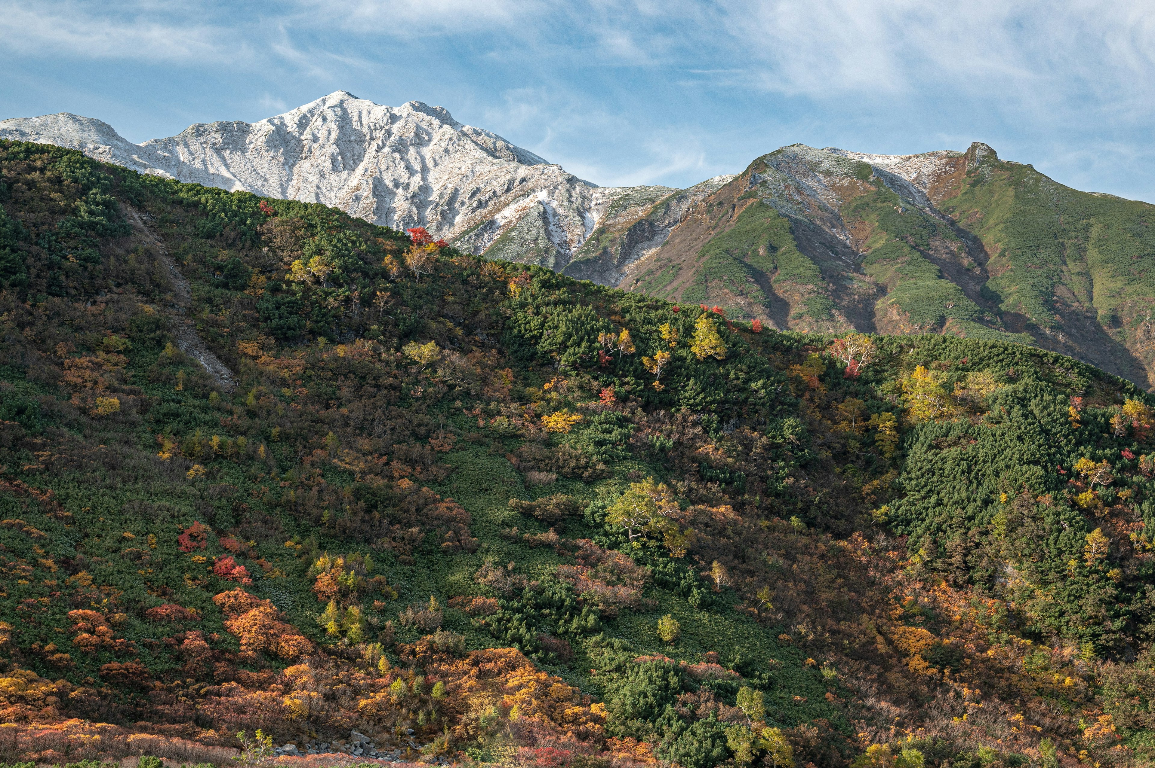 눈 덮인 산과 다채로운 가을 단풍이 있는 경치