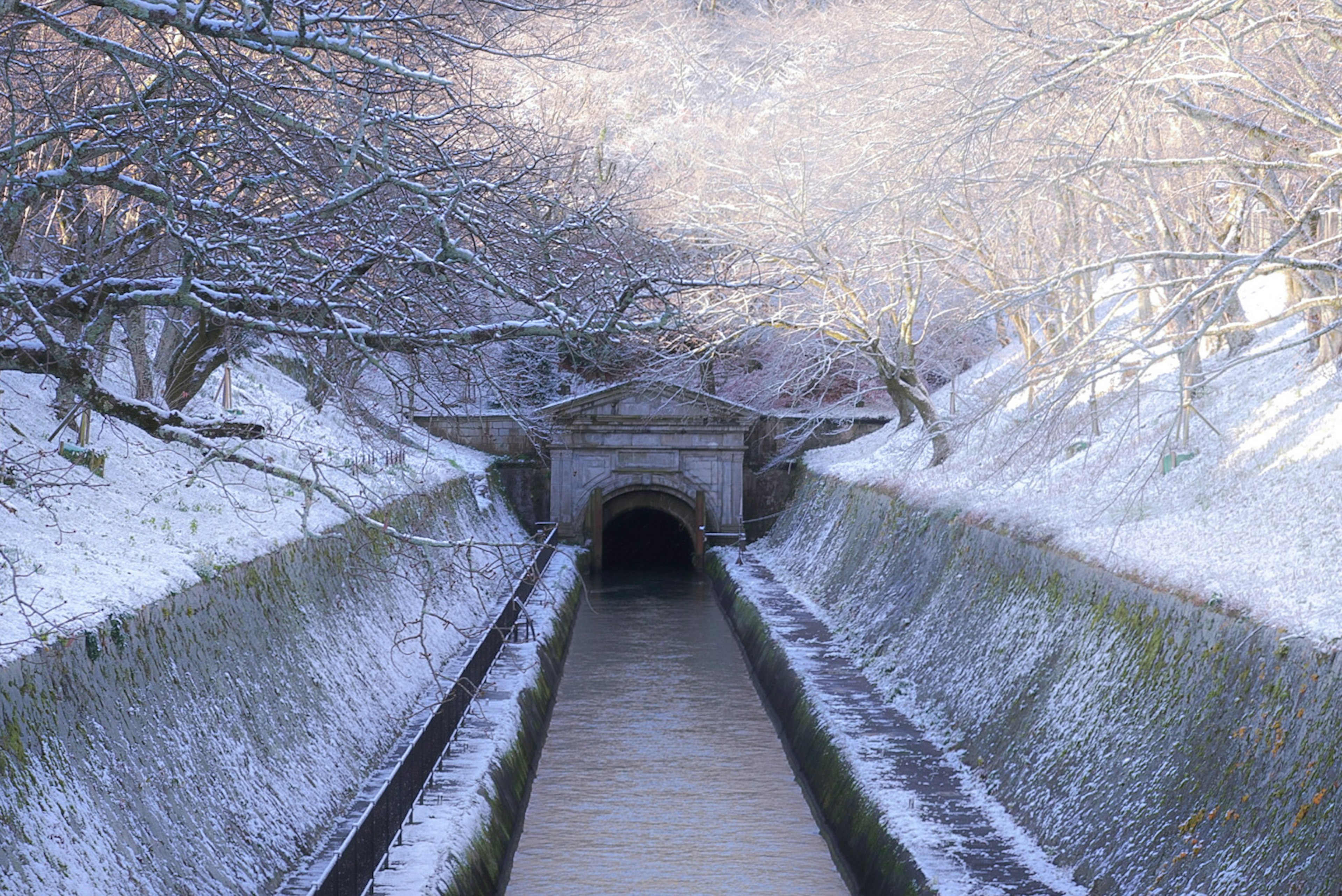 Canal enneigé avec des arbres et un environnement serein