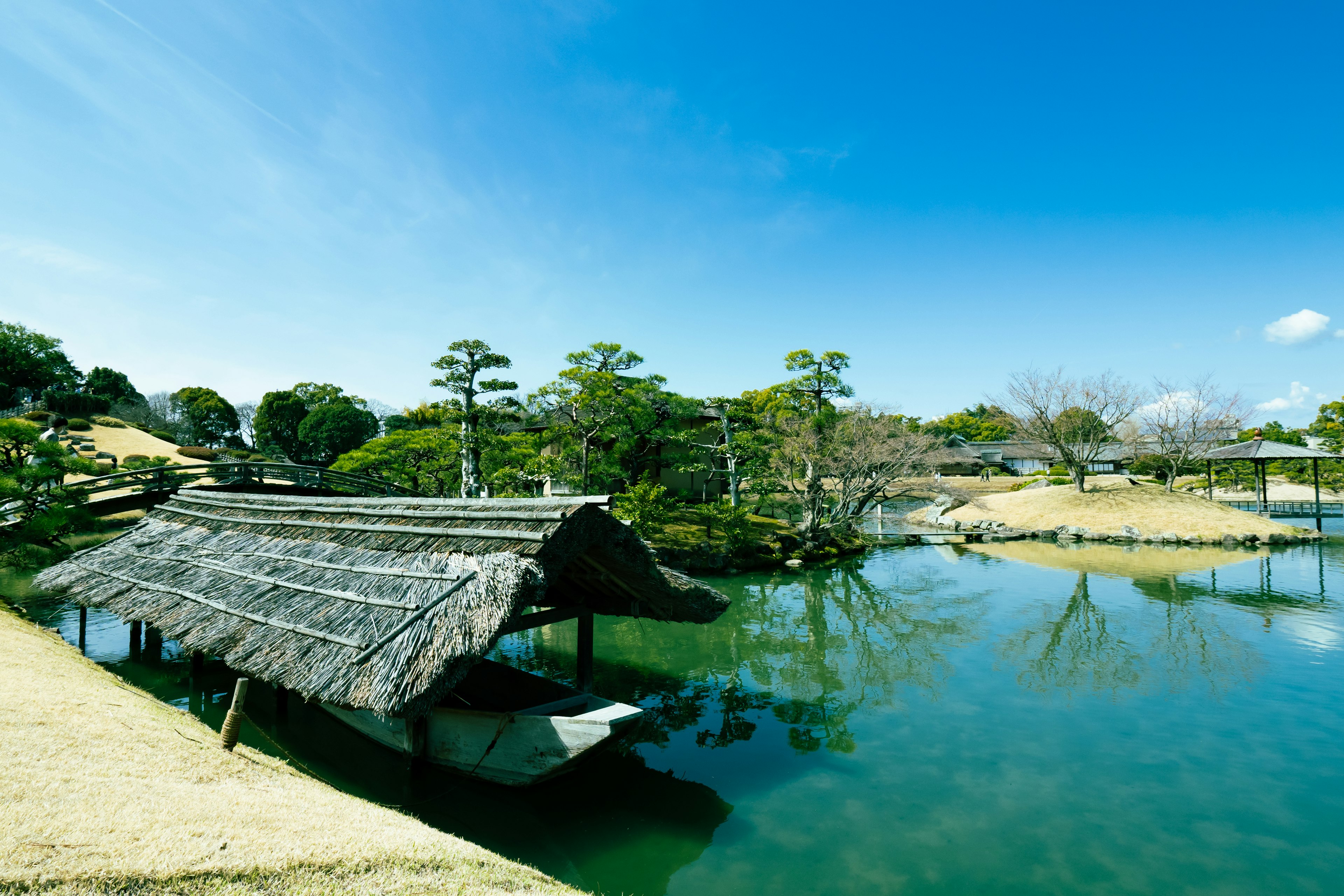 Scenic view of a pond with a thatched hut and lush greenery