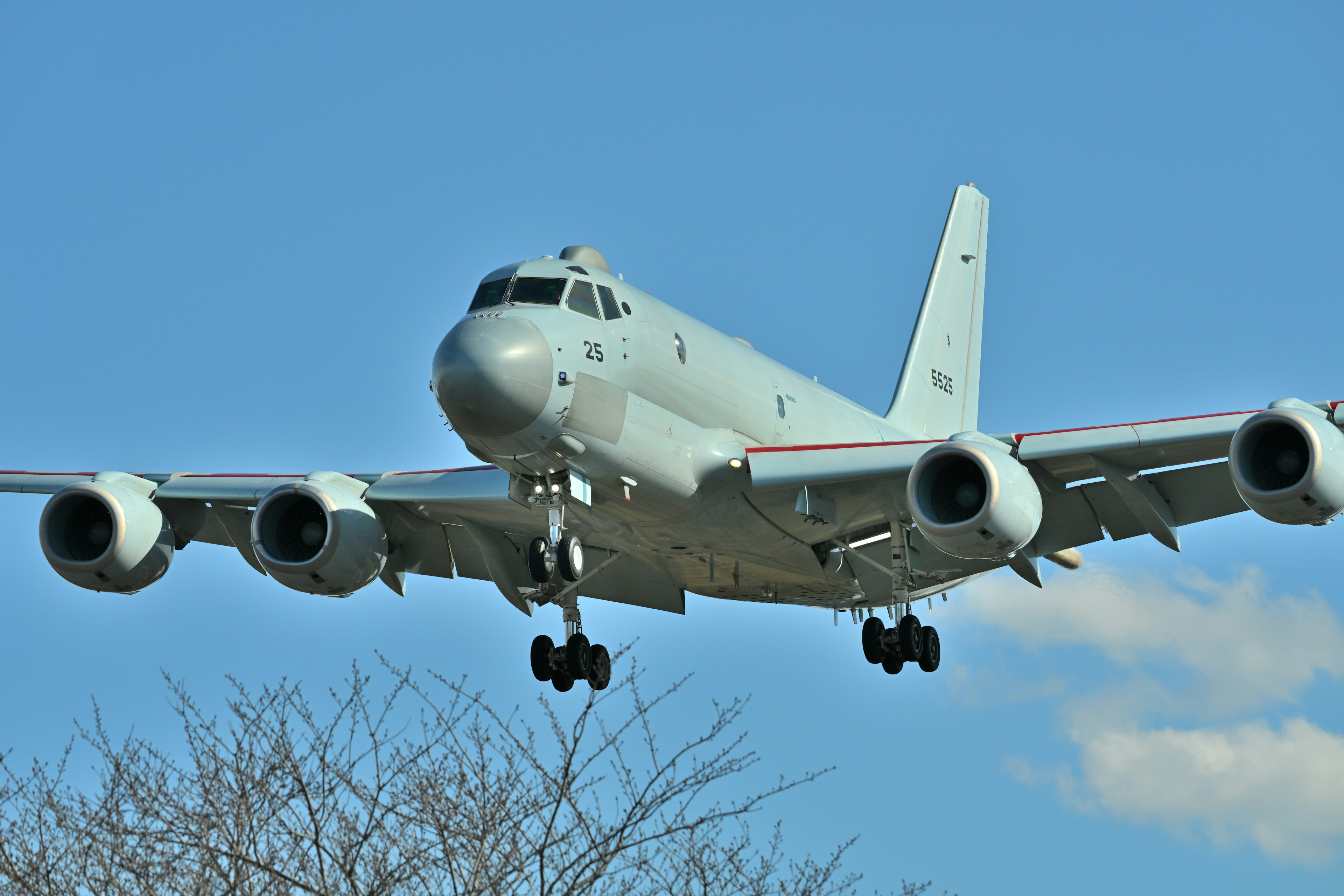 Flugzeug landet unter einem blauen Himmel