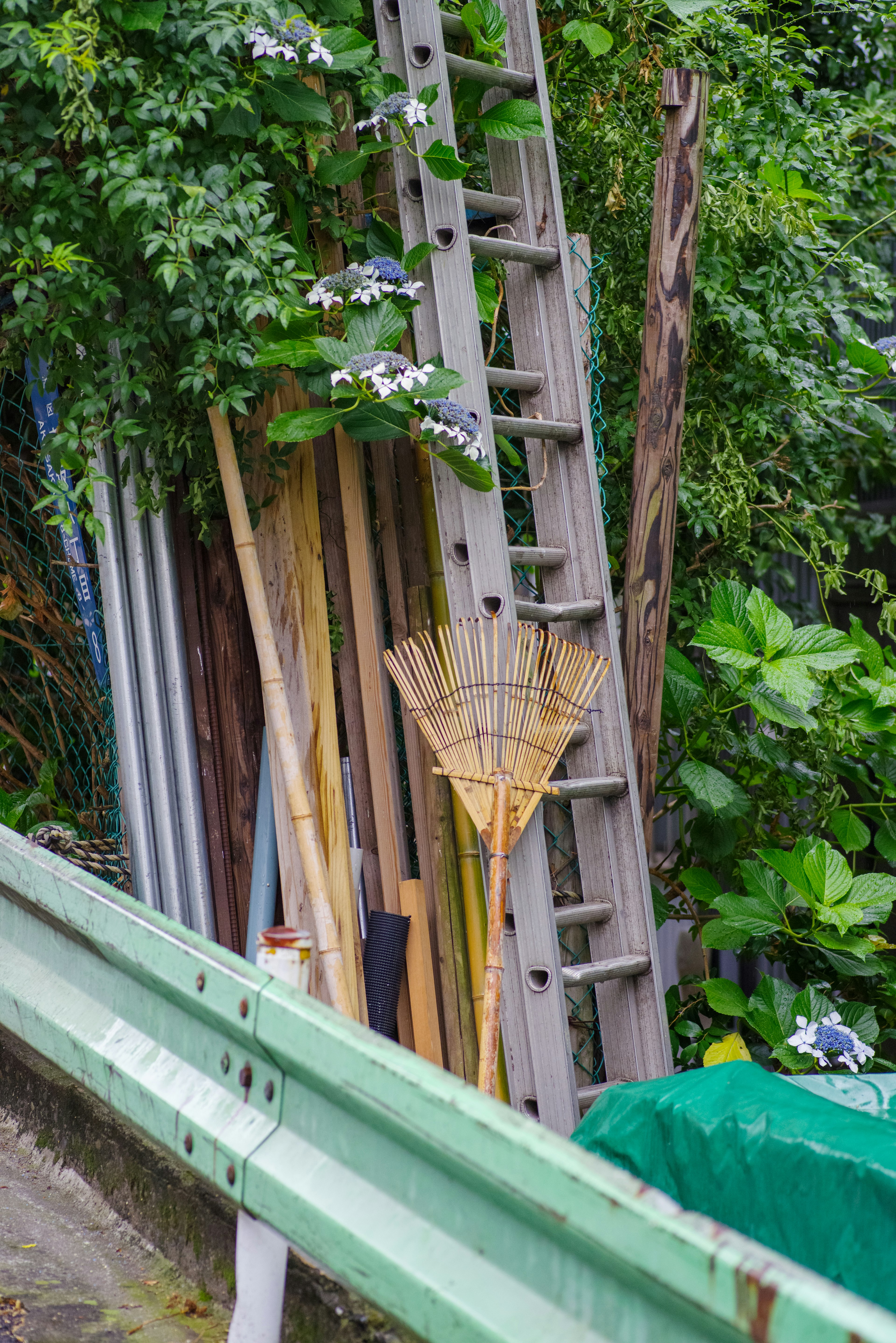 A leaning ladder surrounded by wooden planks and a rake amidst green foliage