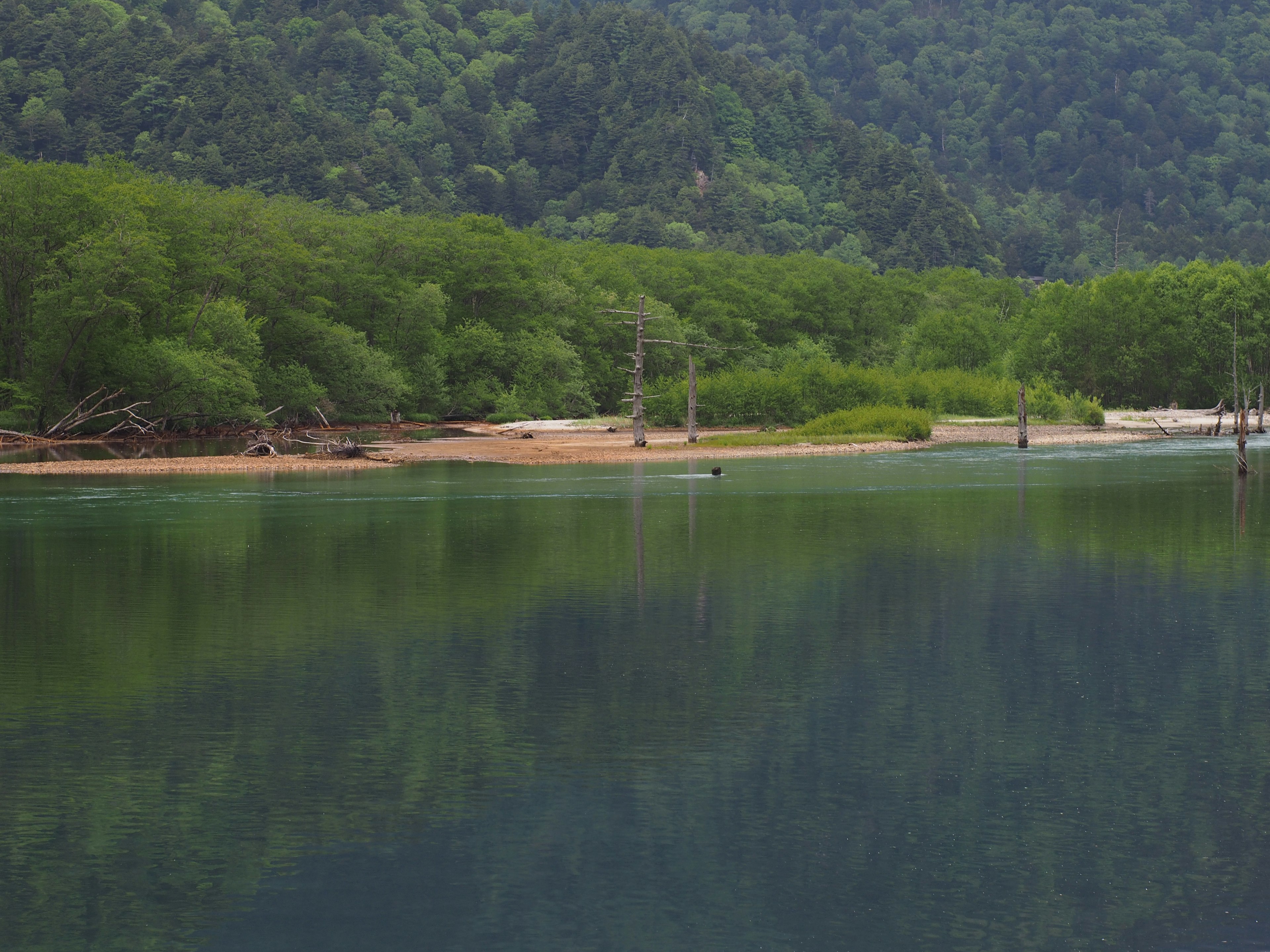 Calm lake reflecting greenery and distant hills