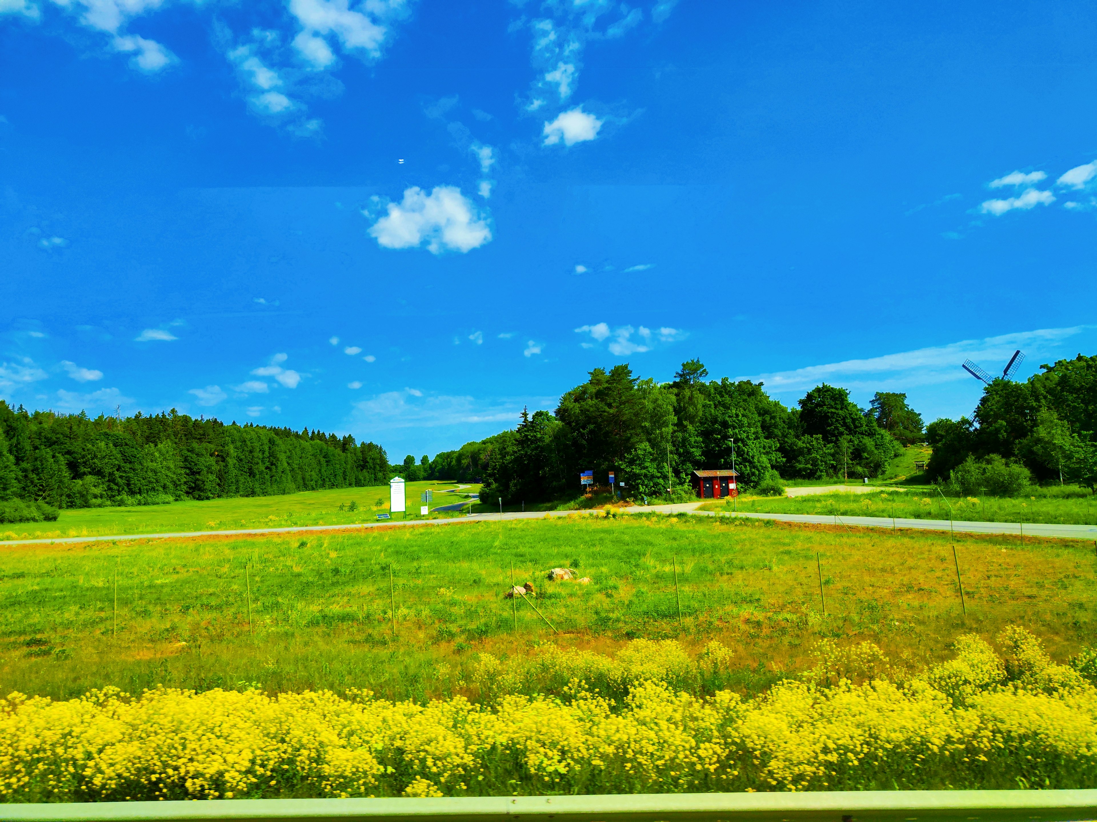 Eine lebendige Landschaft mit blauem Himmel grünen Feldern und gelben Blumen