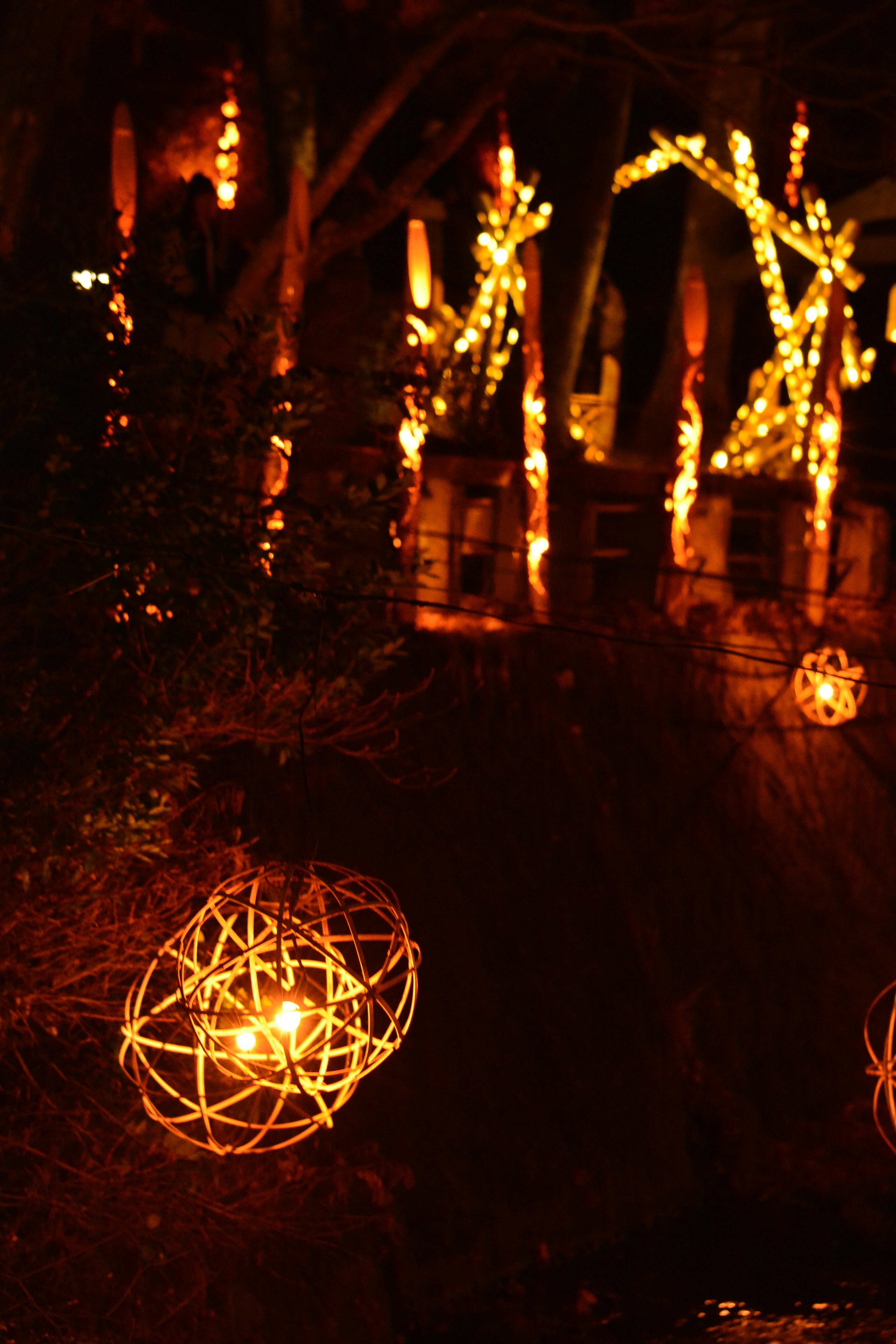 Orbes brillantes en un jardín oscuro