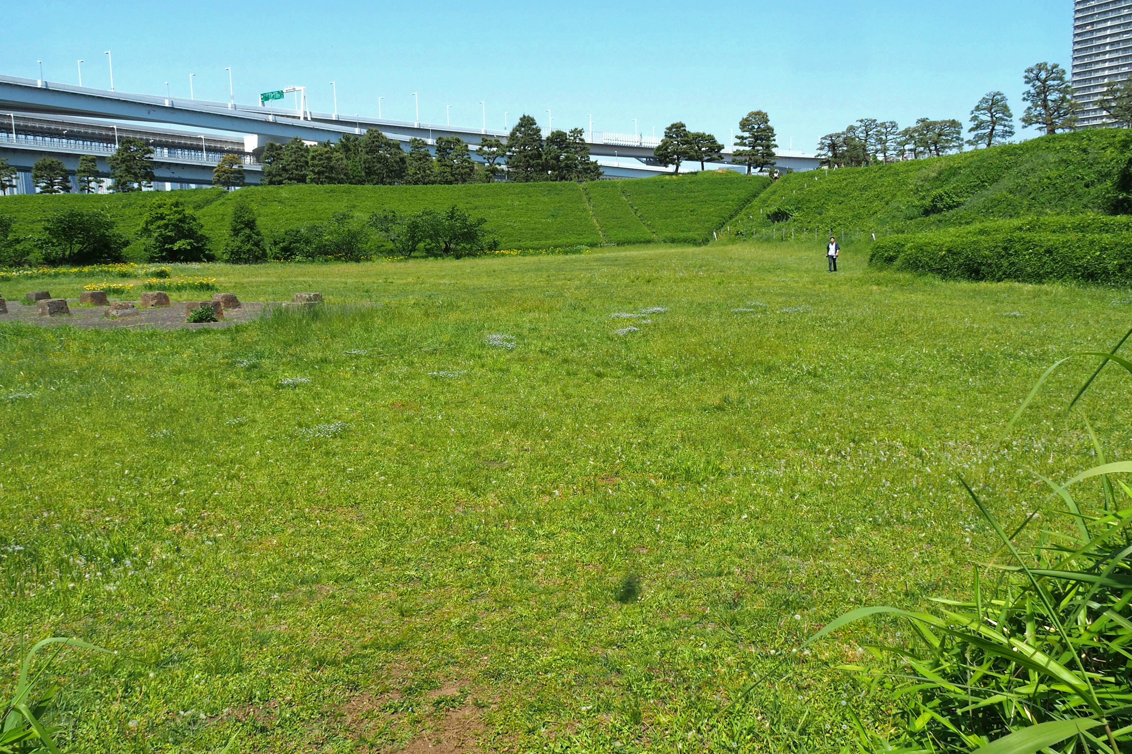 Lush green field with an overpass in the background