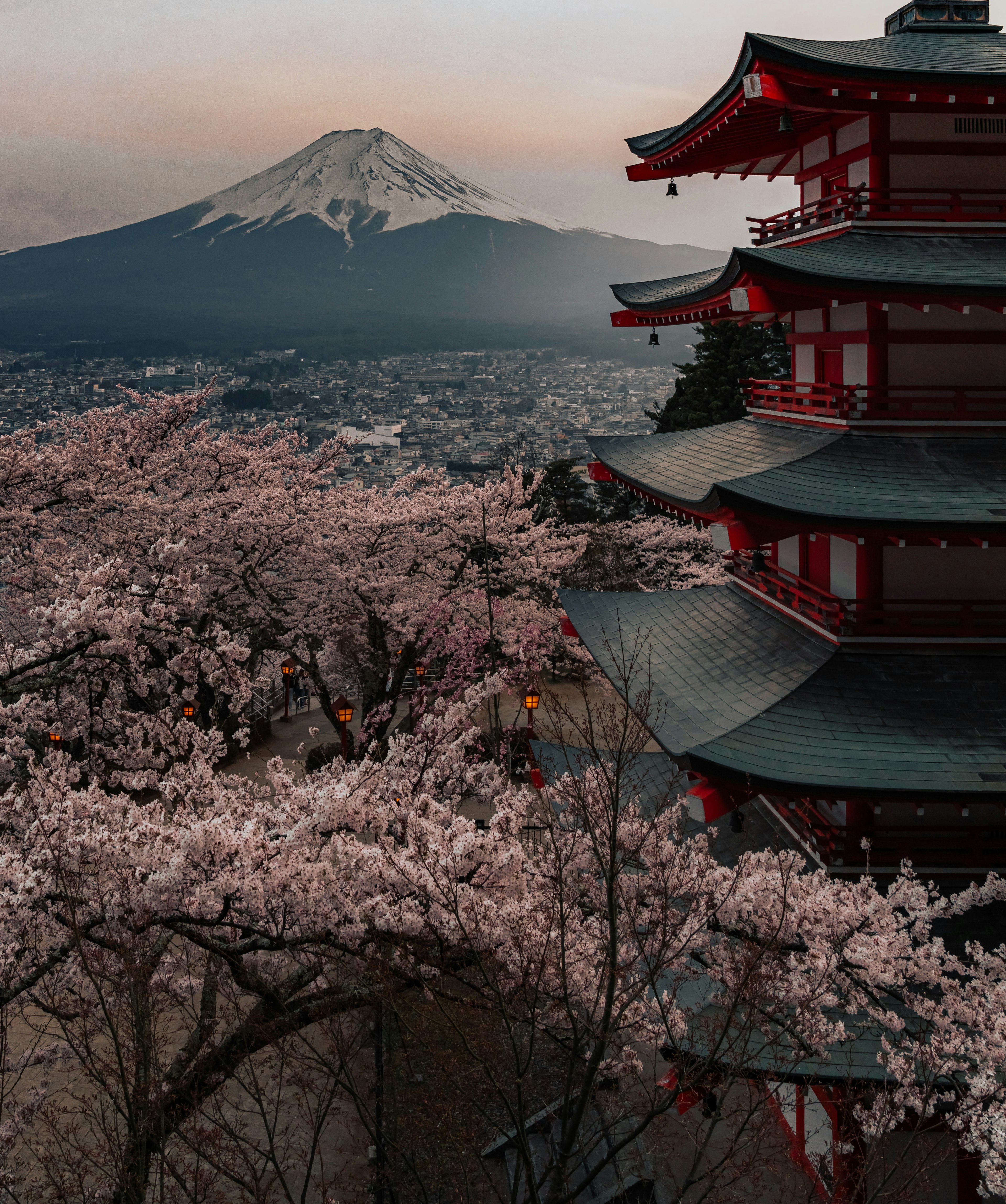 桜の花が咲く背景に富士山を望む赤い五重塔の風景