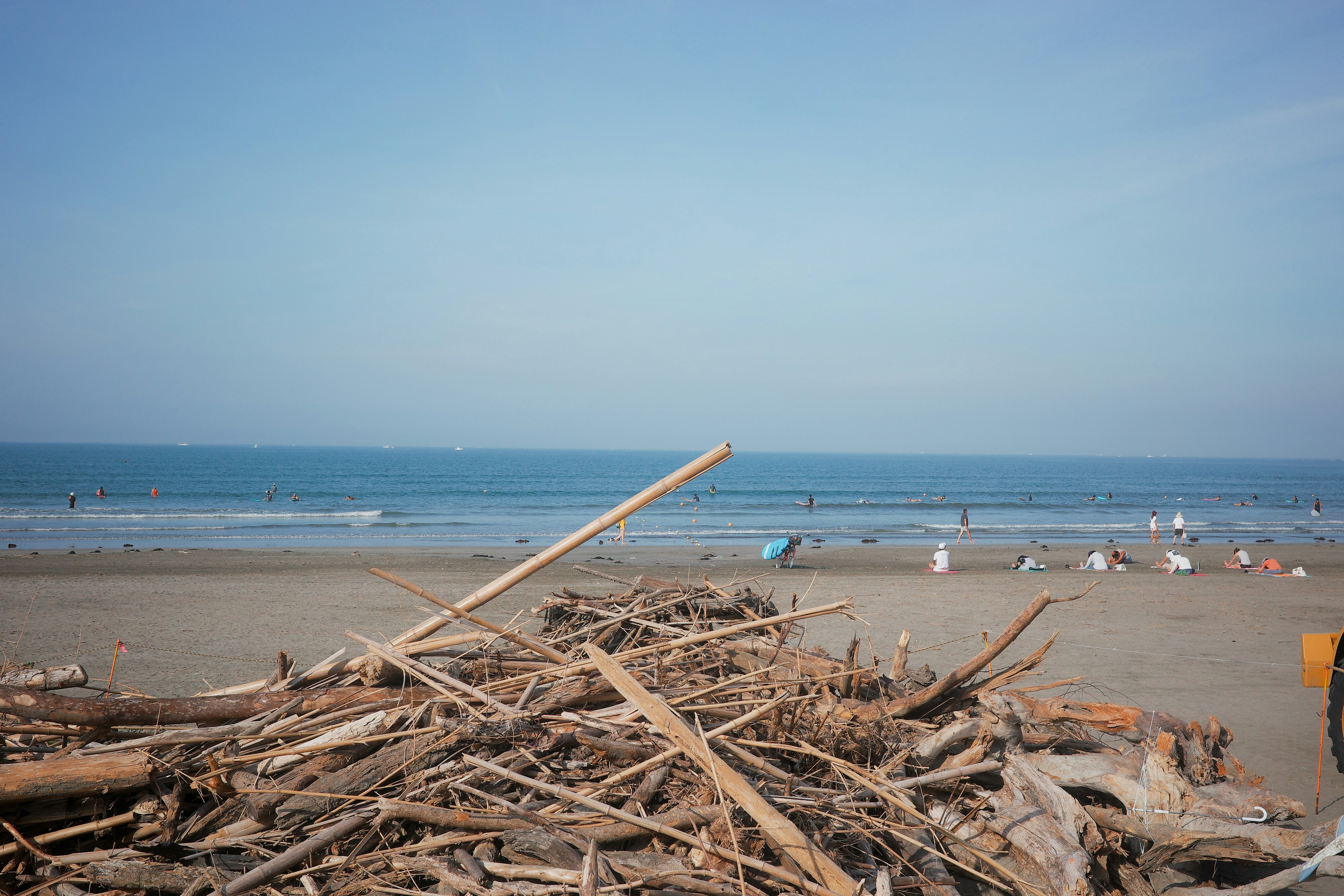 Tumpukan kayu terapung di pantai dengan lautan biru di latar belakang