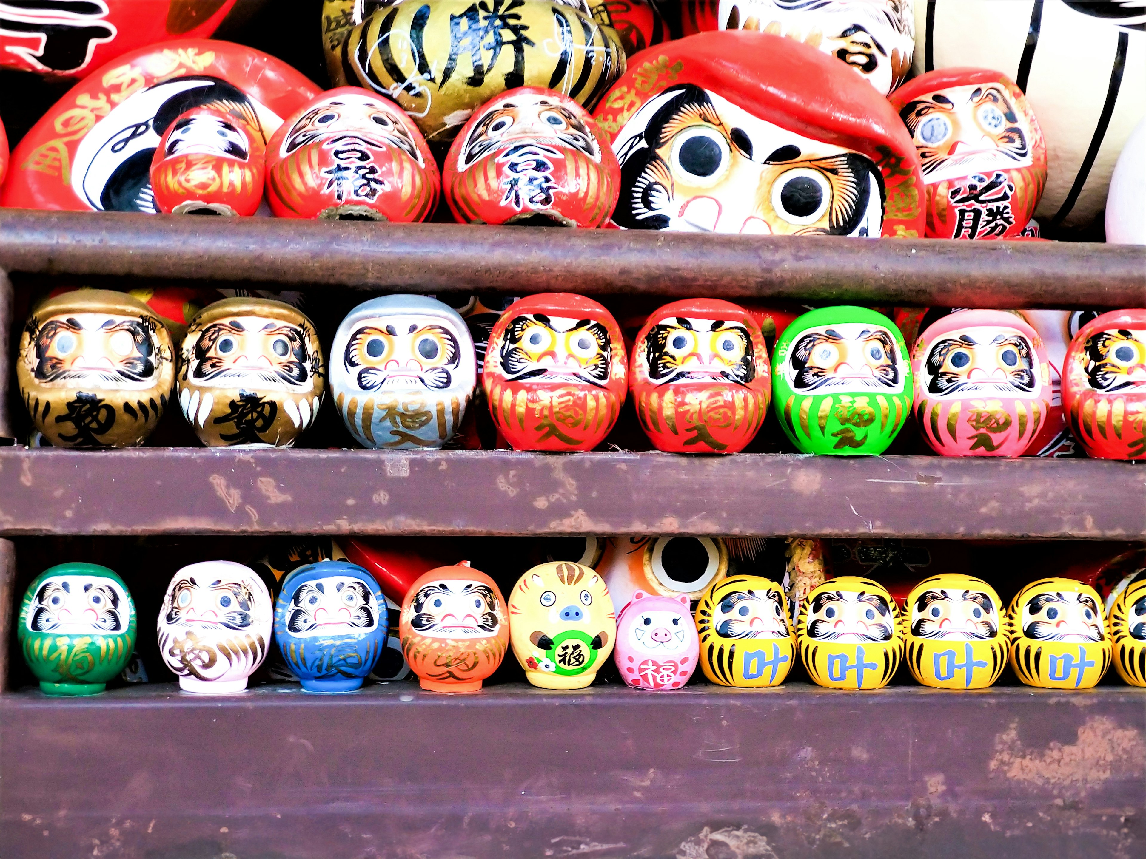 A shelf displaying colorful daruma dolls