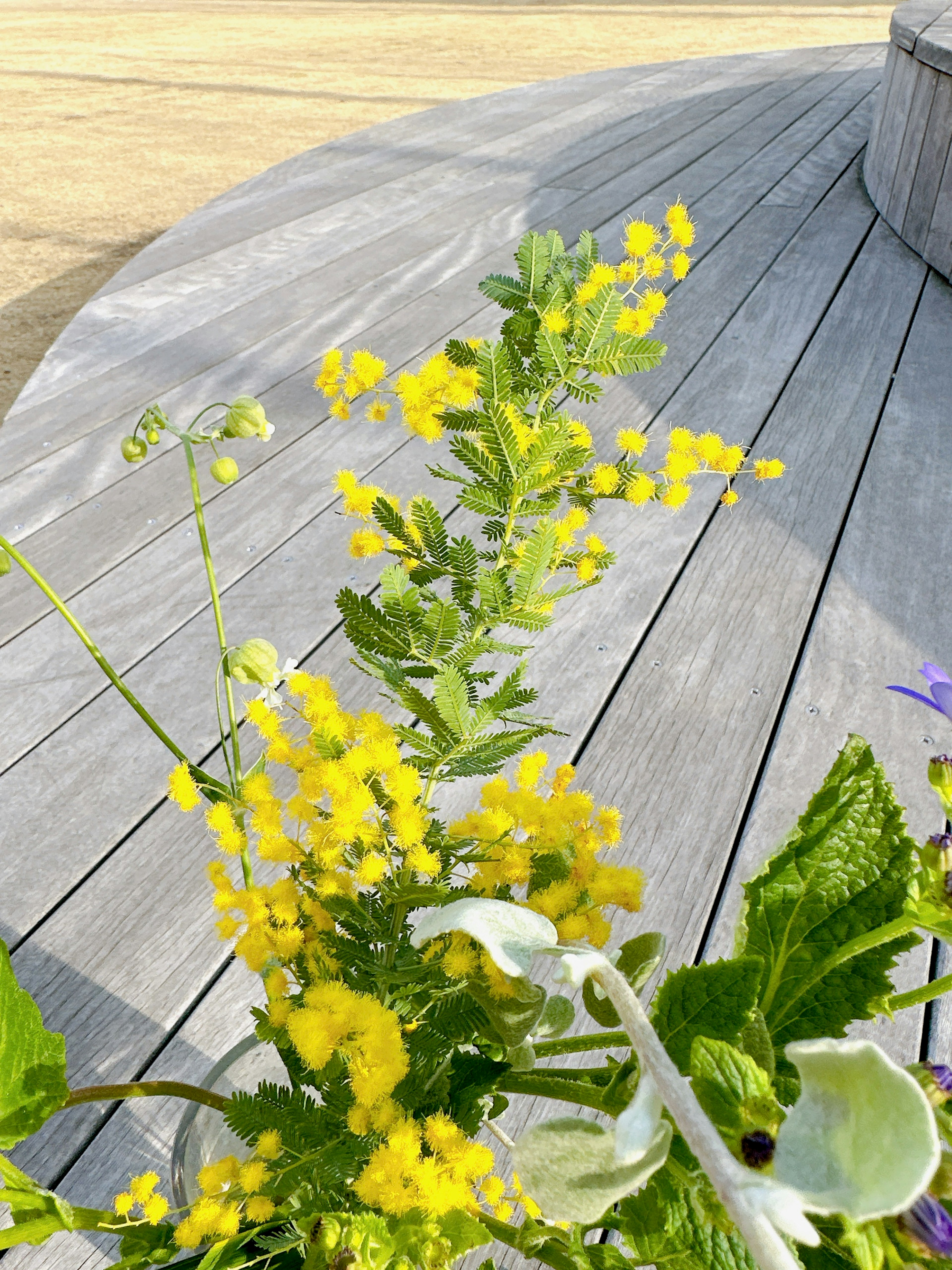 Yellow flowers and green leaves on a wooden deck