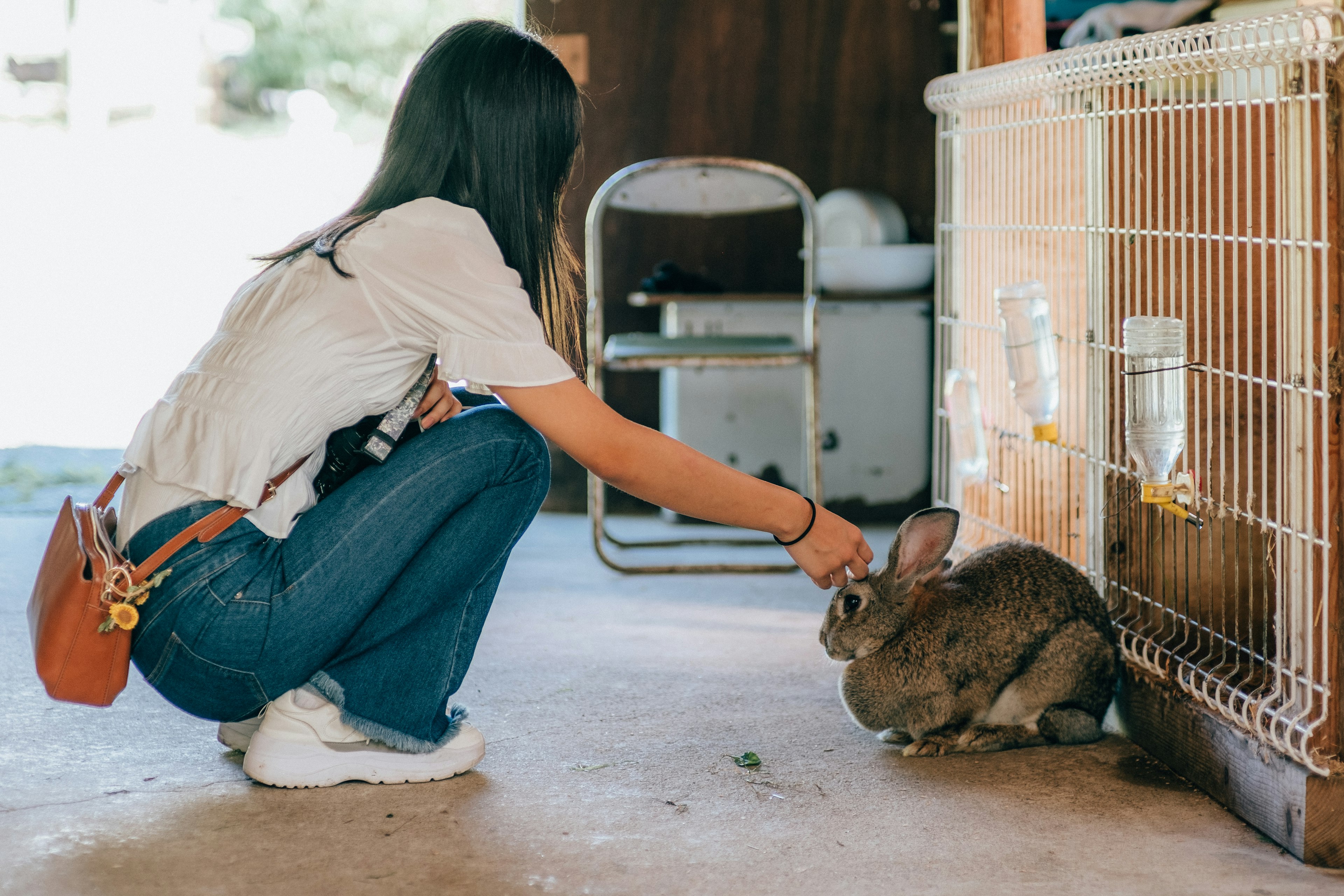 女性がウサギを撫でているシーン