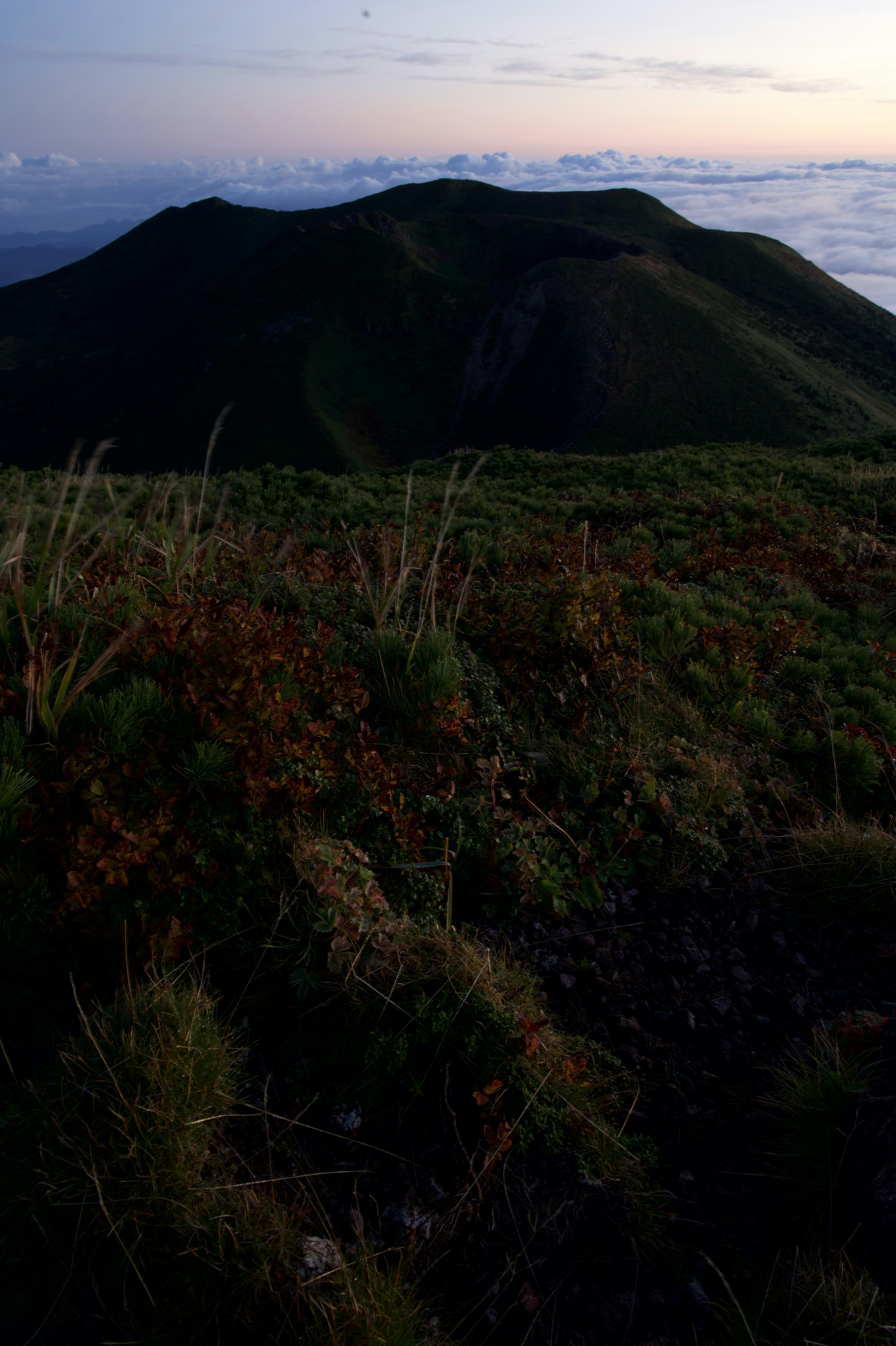 夕暮れの山の風景 緑の草と山のシルエット