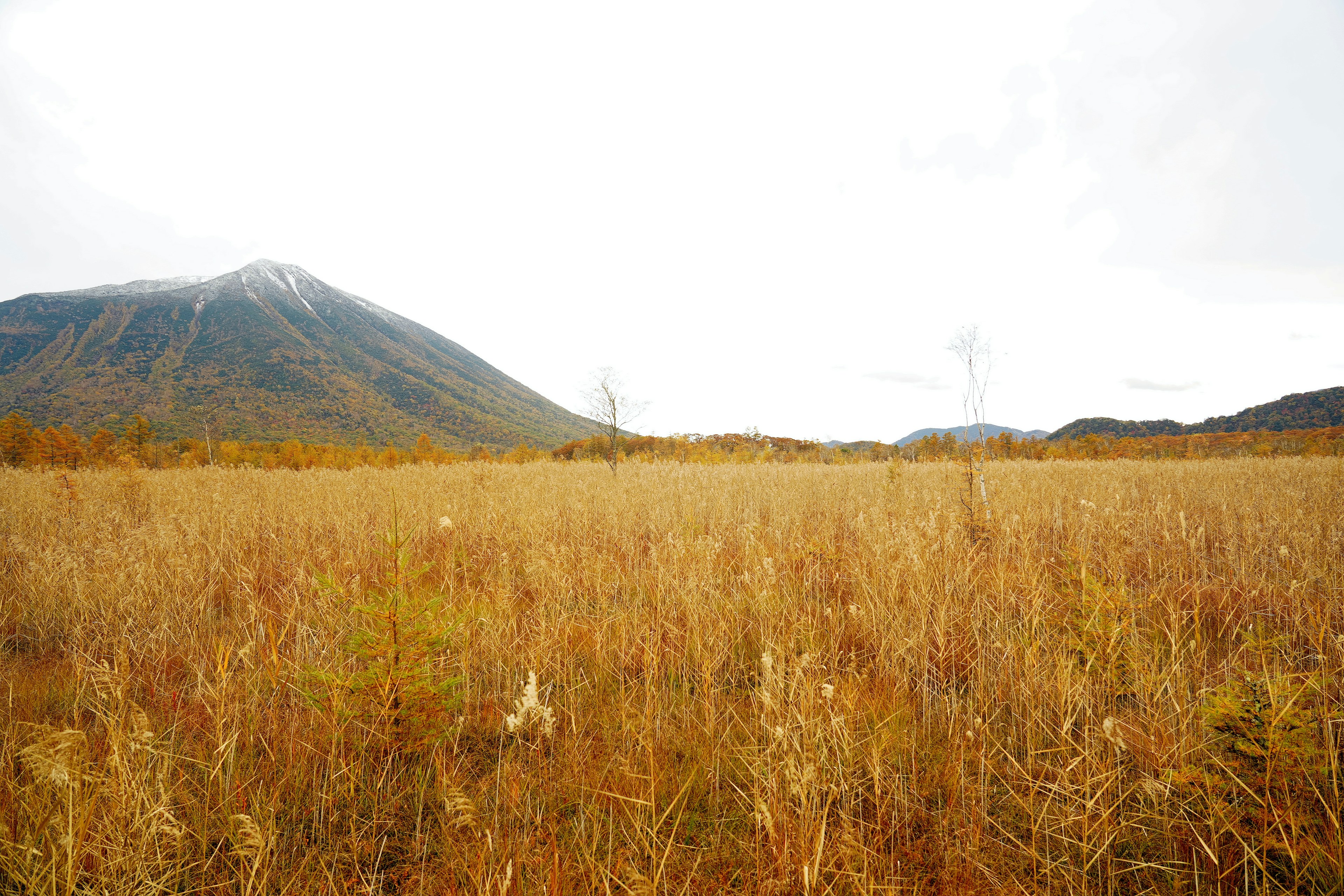 Vasta prateria con montagne sullo sfondo in autunno