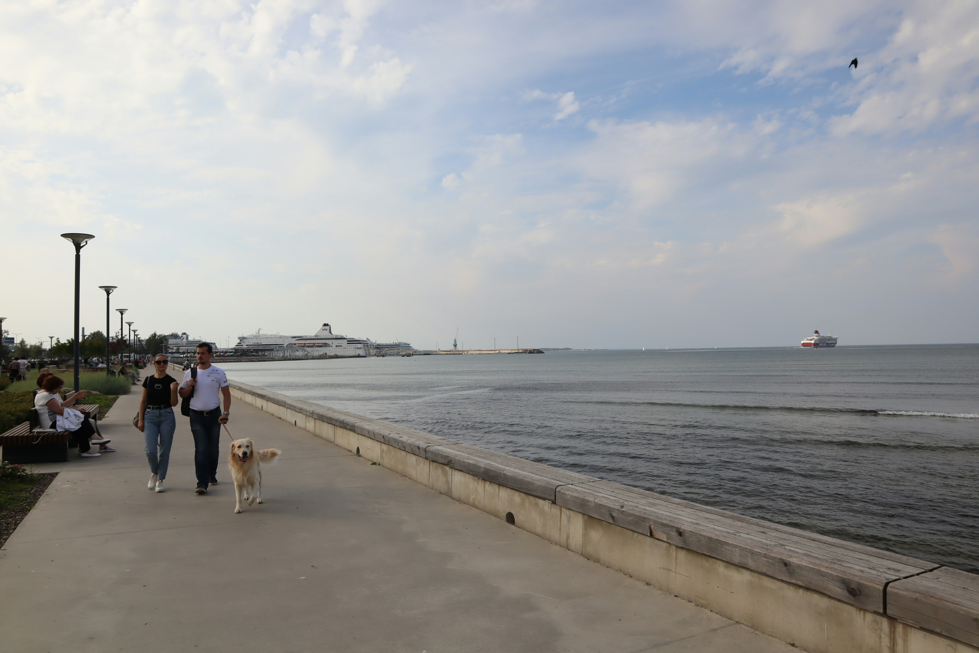 Pareja caminando por la costa con un perro