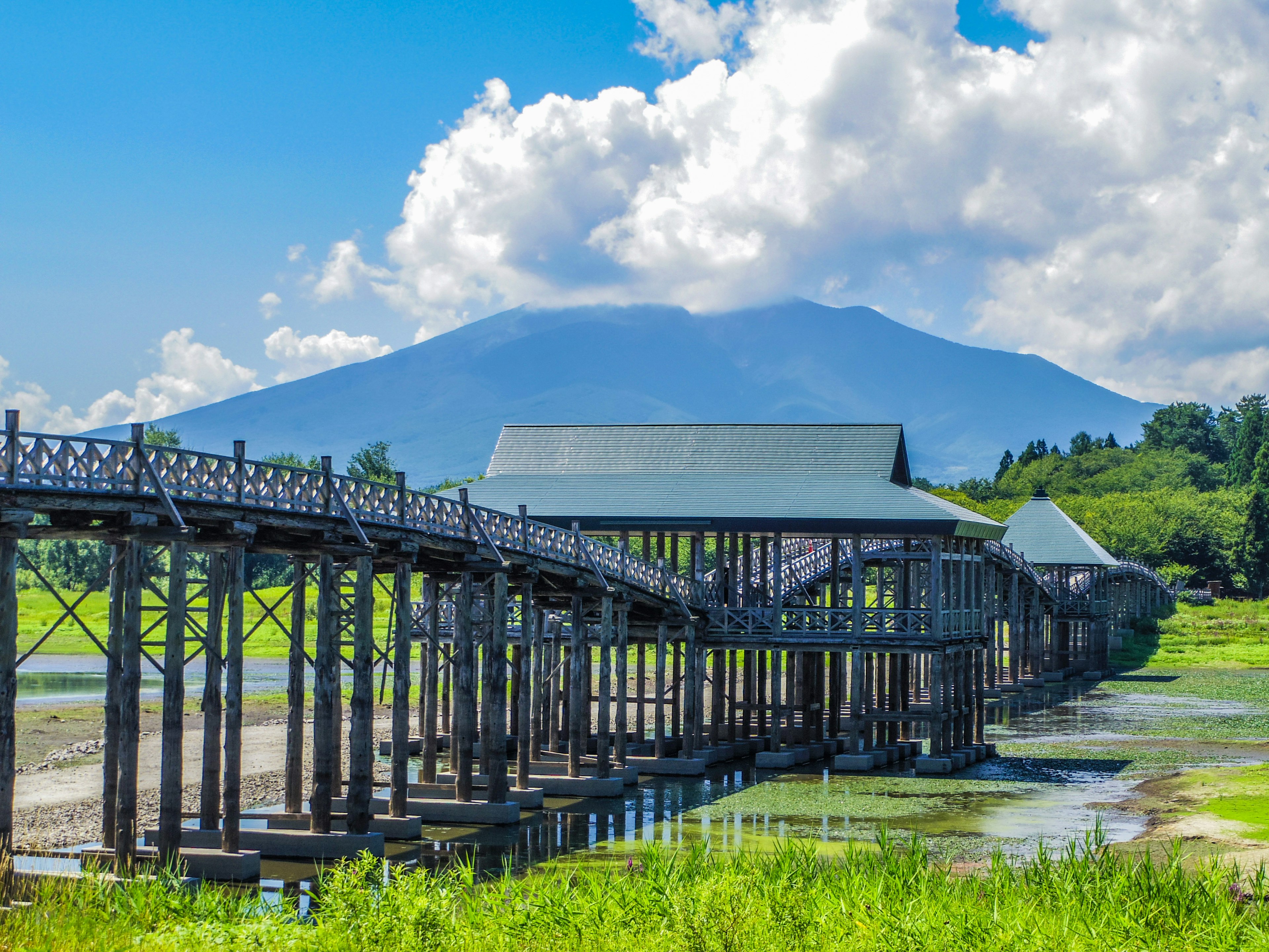 Jembatan kayu yang membentang di atas rerumputan hijau dan air di bawah langit biru