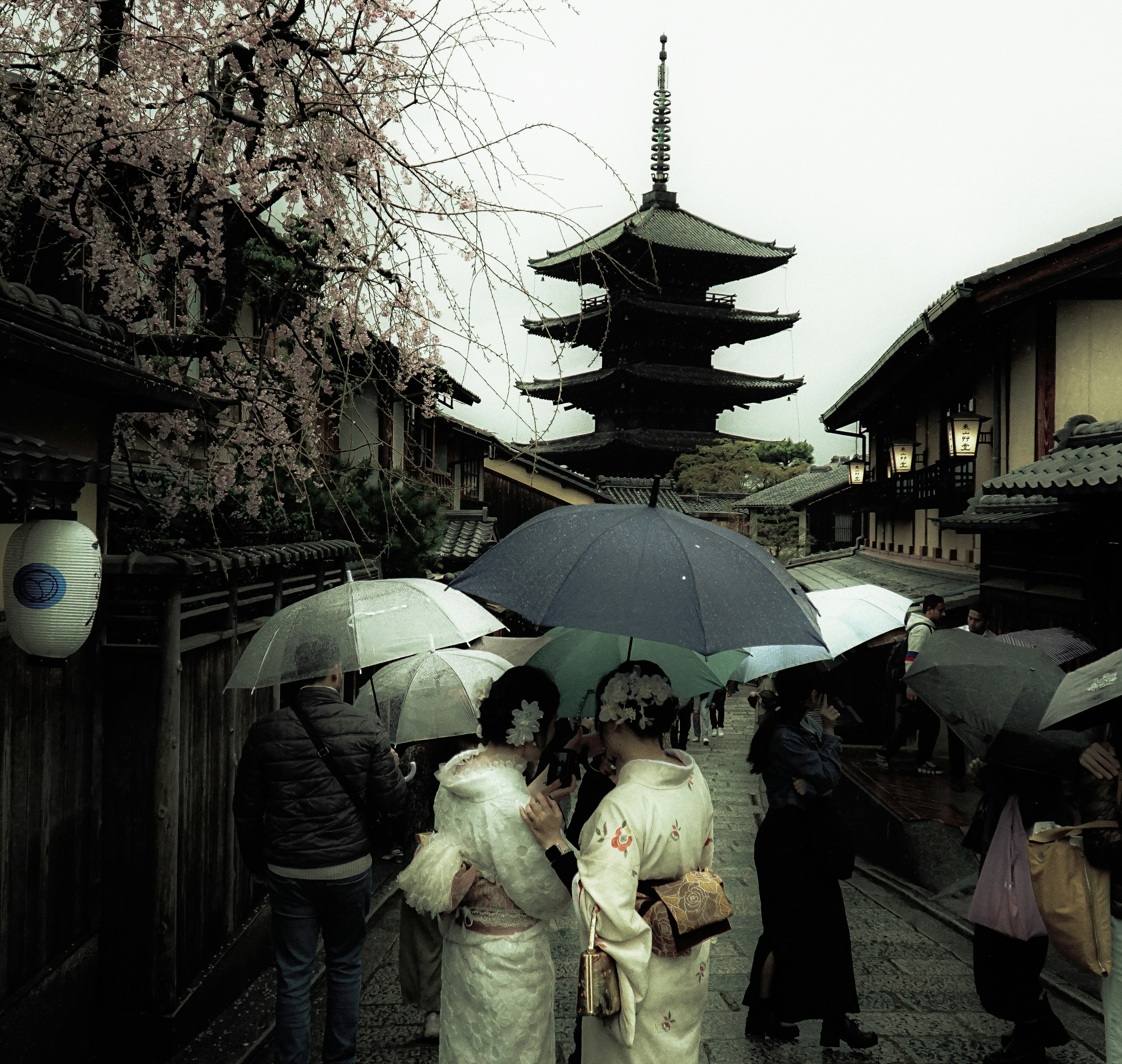 Women in kimonos walking under umbrellas with a pagoda in the background