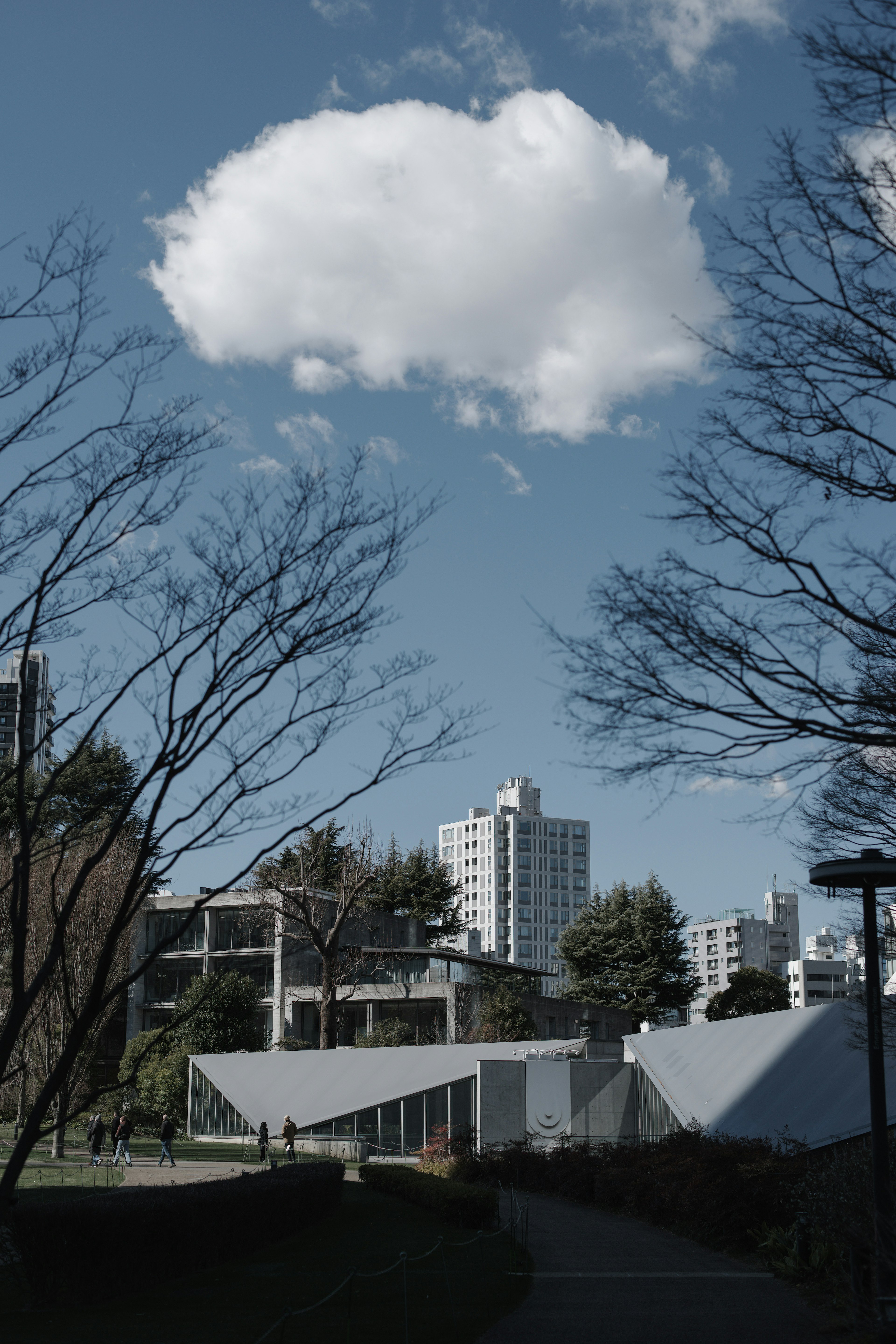 青空と白い雲が浮かぶ都市の風景建物と木々が見える