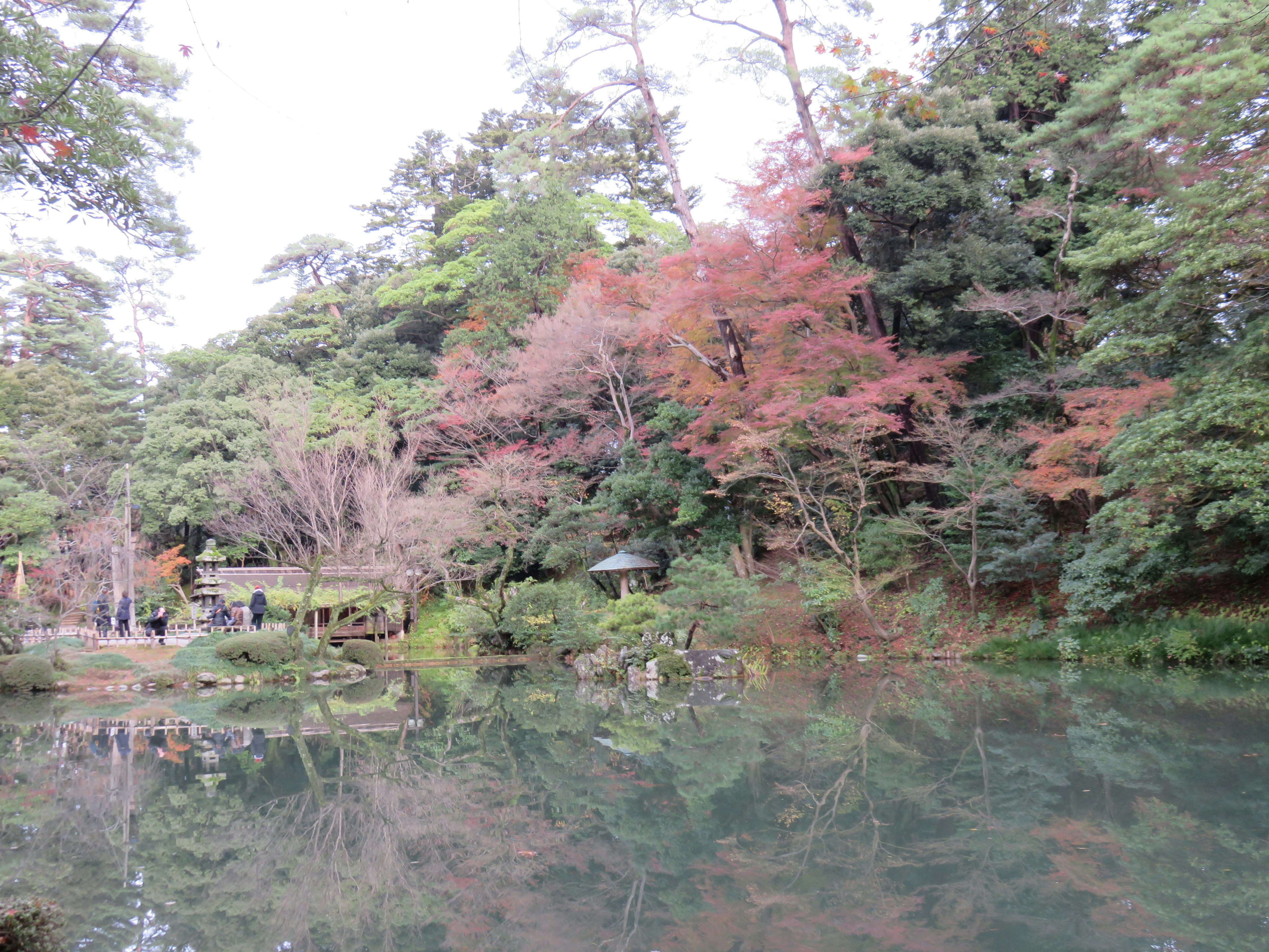 Vue pittoresque d'un étang tranquille entouré de feuillage d'automne et de verdure luxuriante