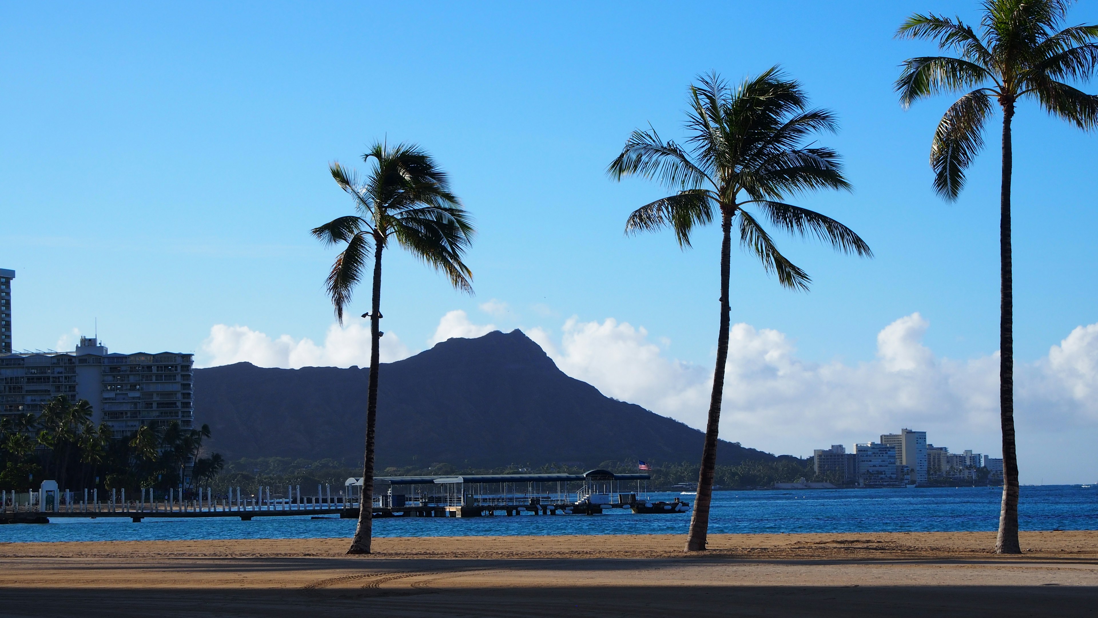 Costa hawaiana con palmeras y Diamond Head al fondo bajo un cielo azul