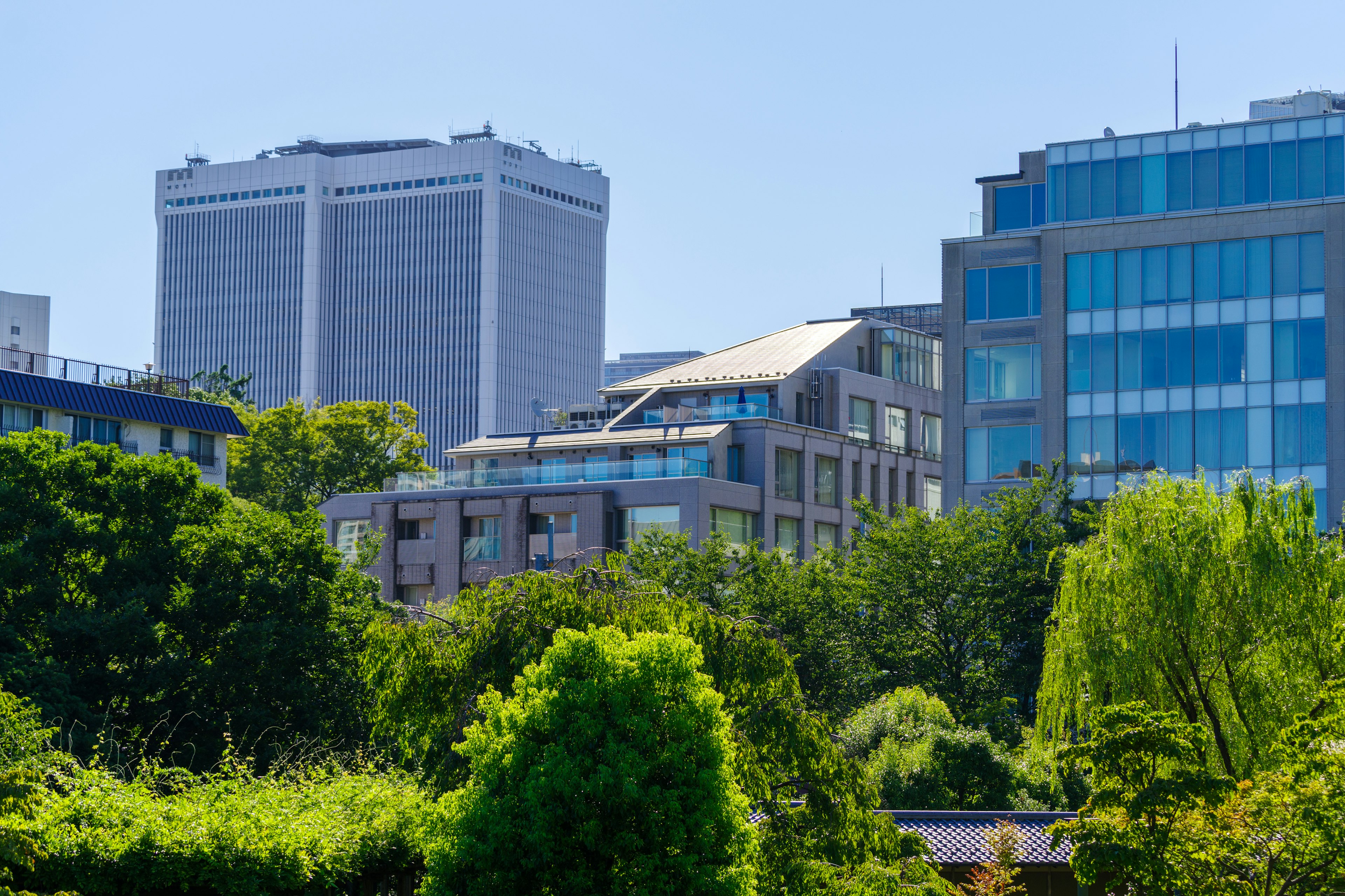 Modern skyline with greenery in the foreground