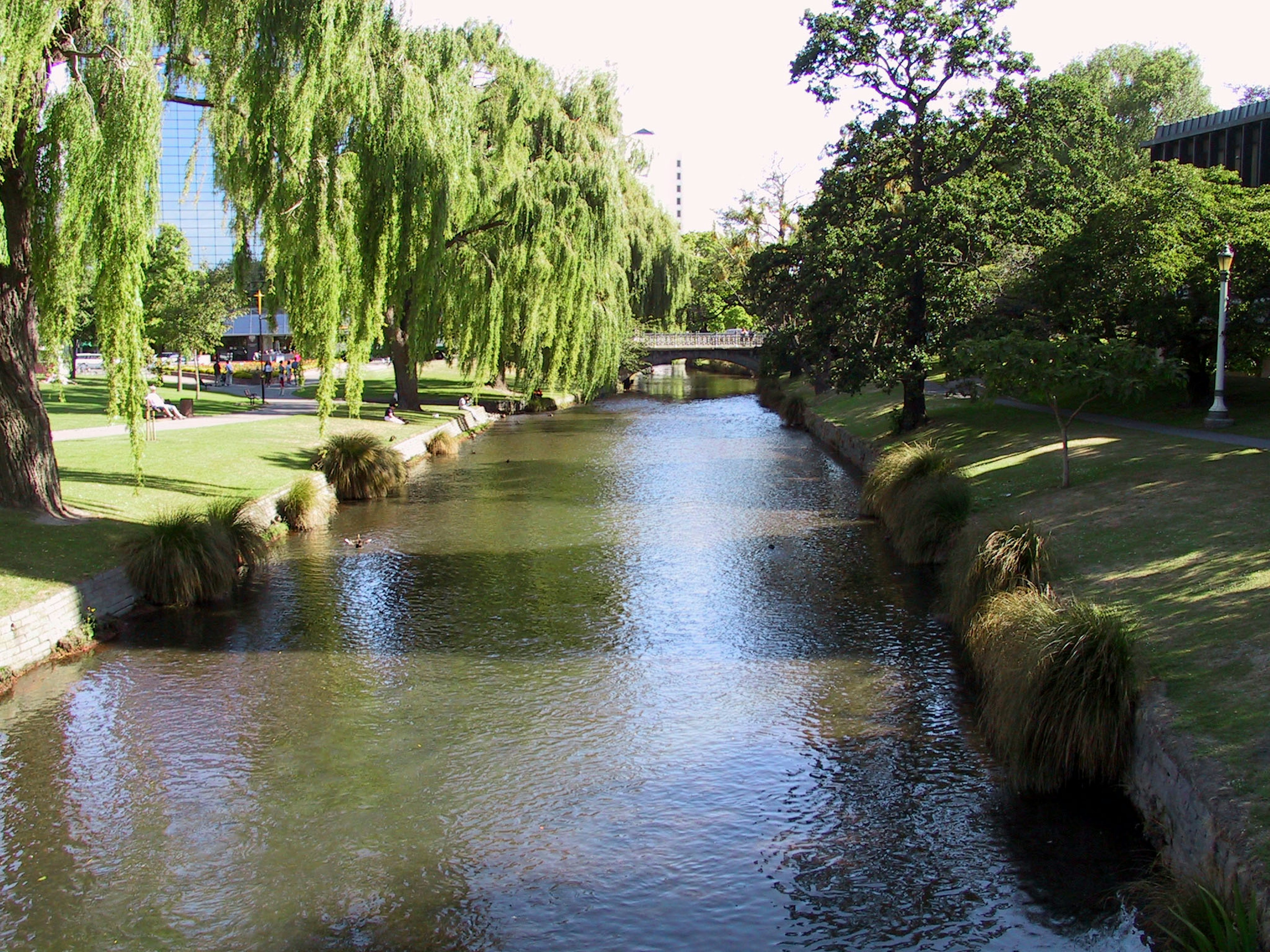 Serene river flowing through a lush park with willow trees