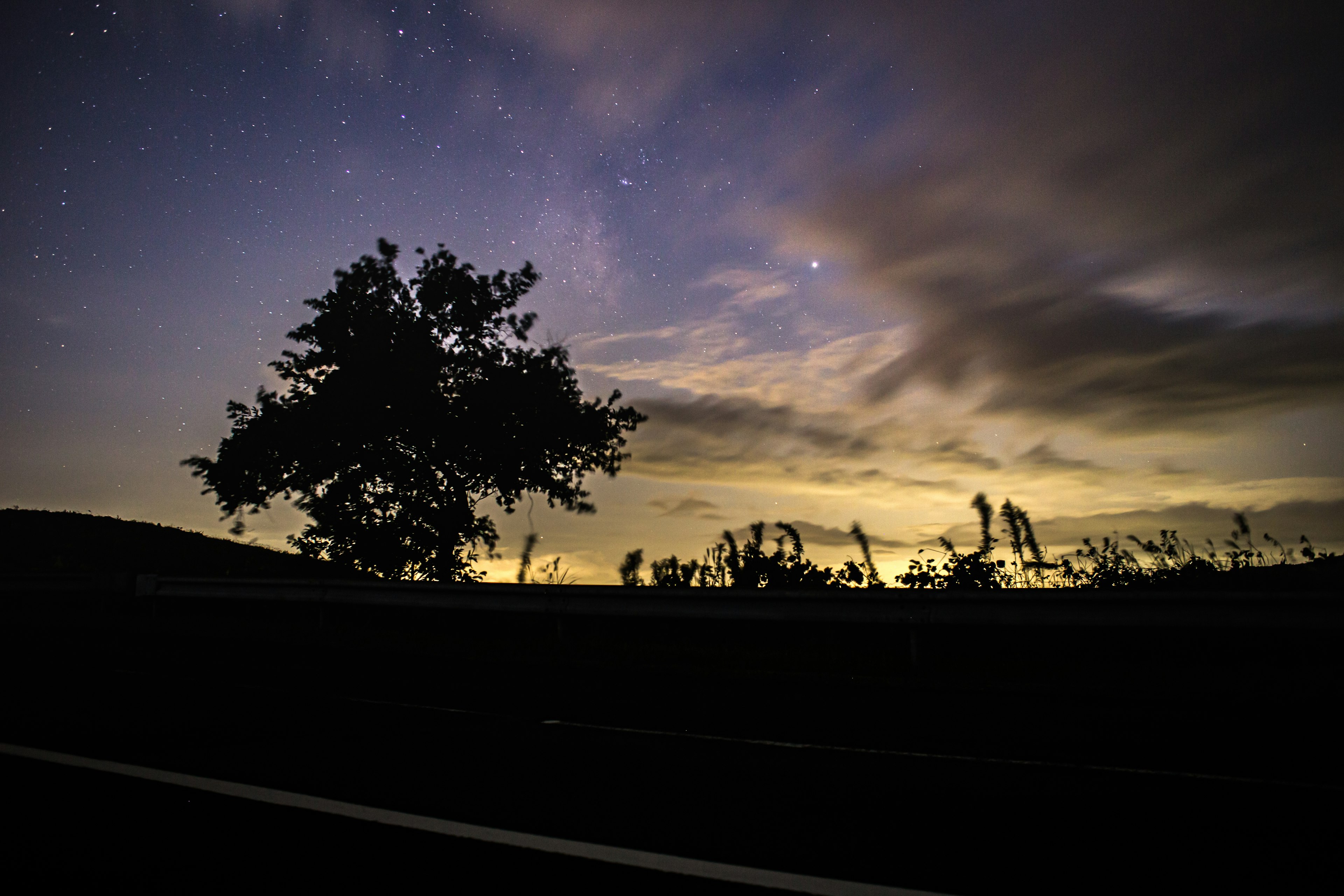 Silueta de un árbol contra un cielo nocturno estrellado con nubes