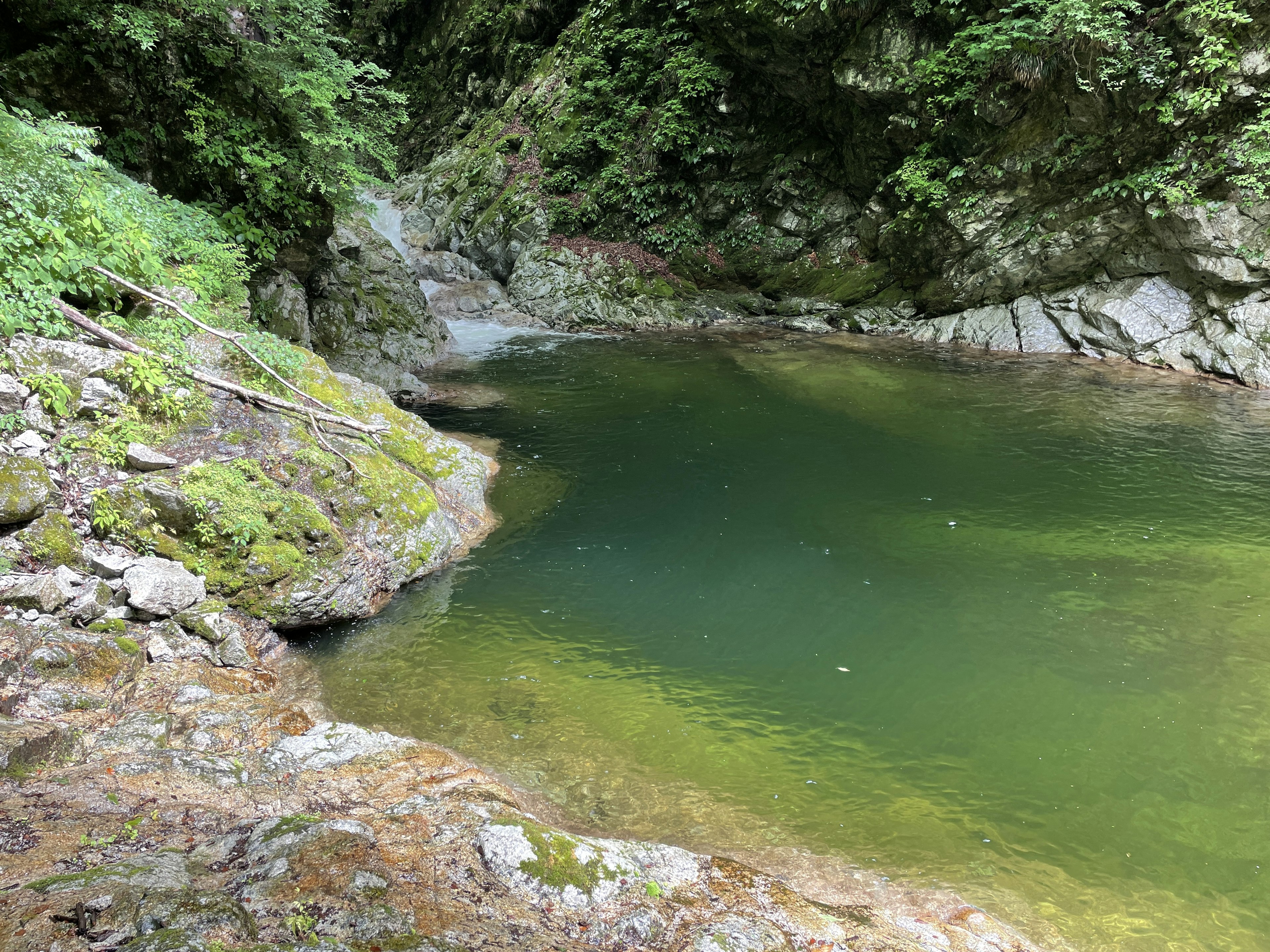 Ruhiger Teich umgeben von Grün Felsen und Wasserpflanzen sichtbar