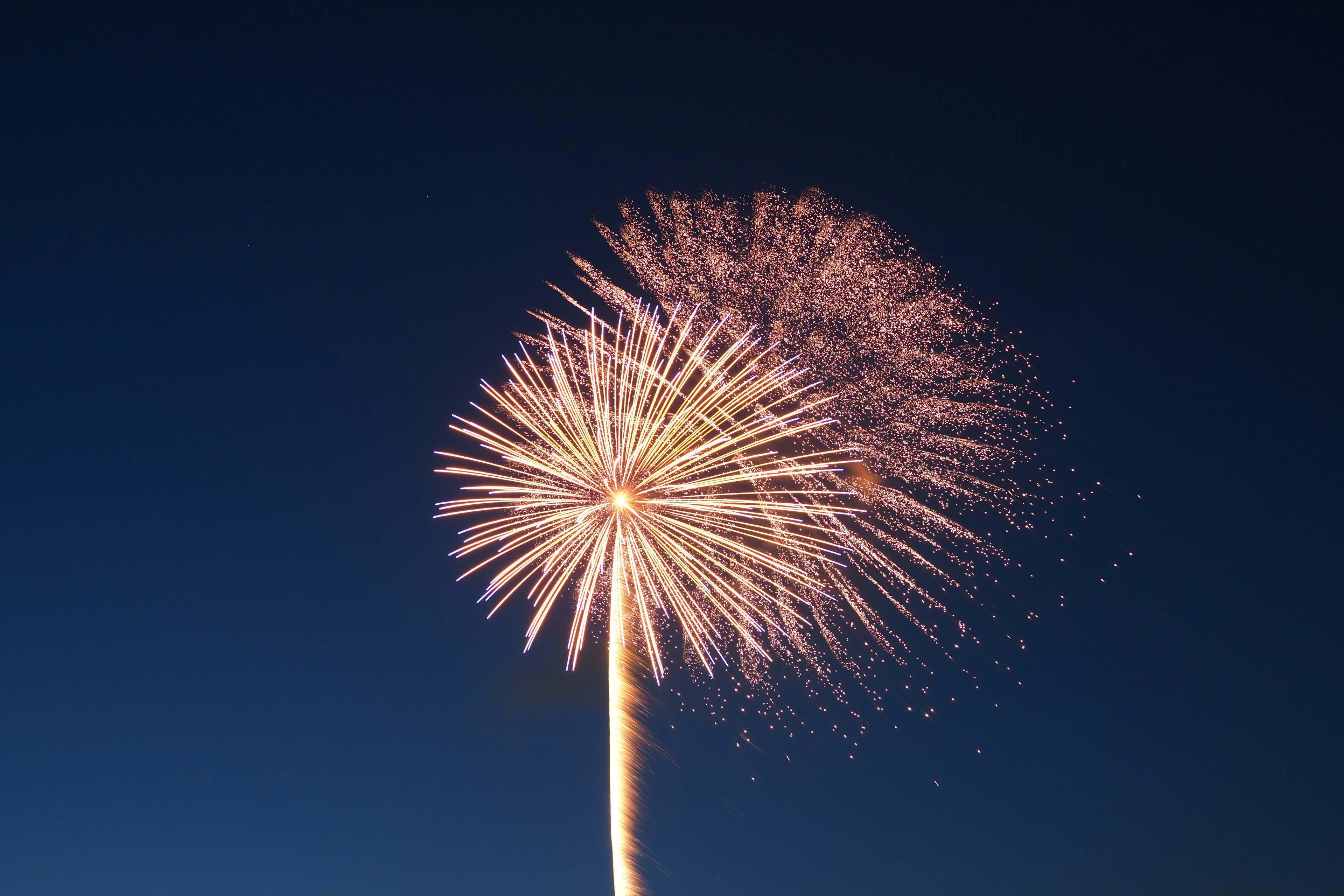 夜空中绽放的美丽烟花图案