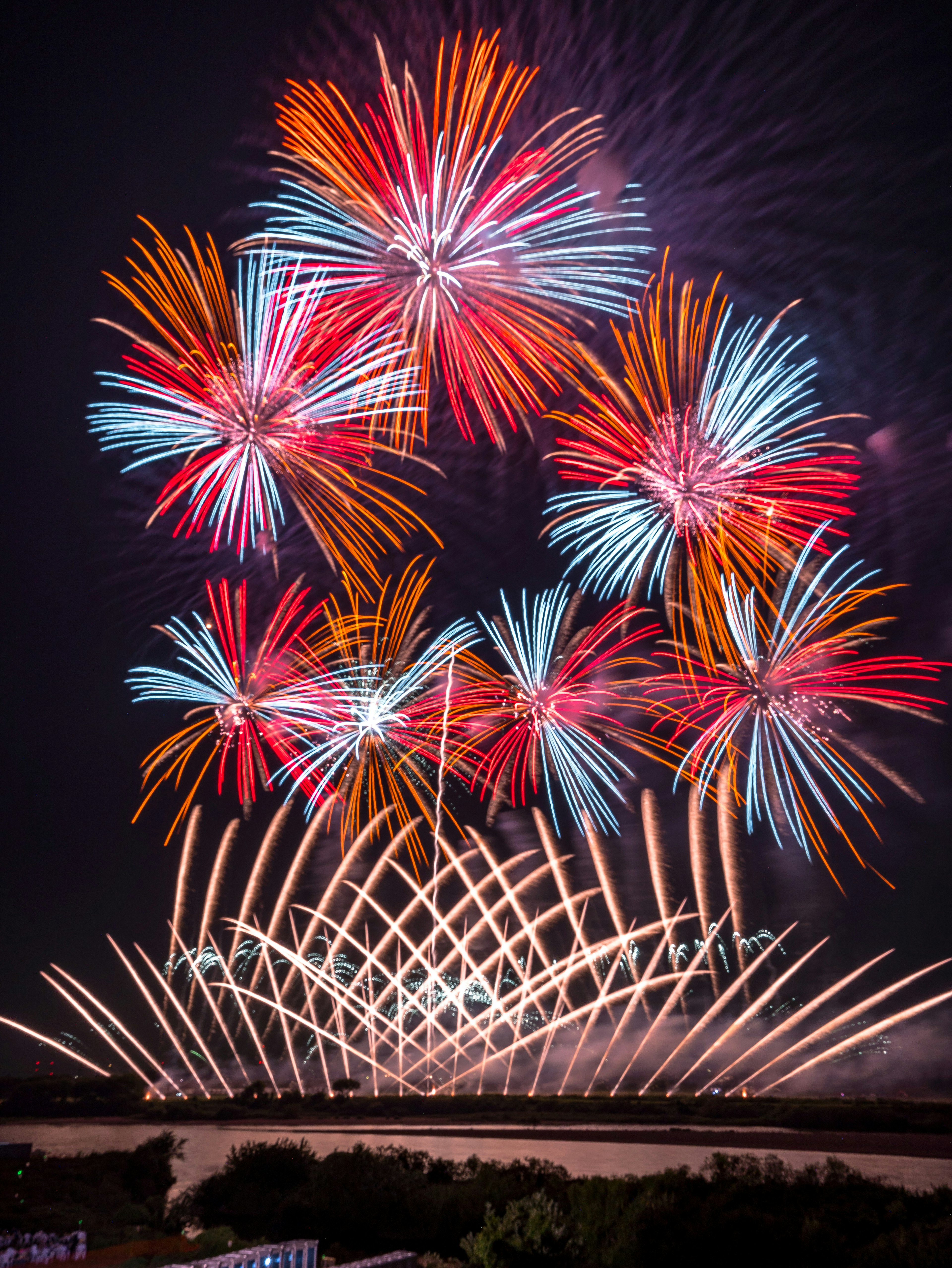 Fuegos artificiales coloridos floreciendo en el cielo nocturno