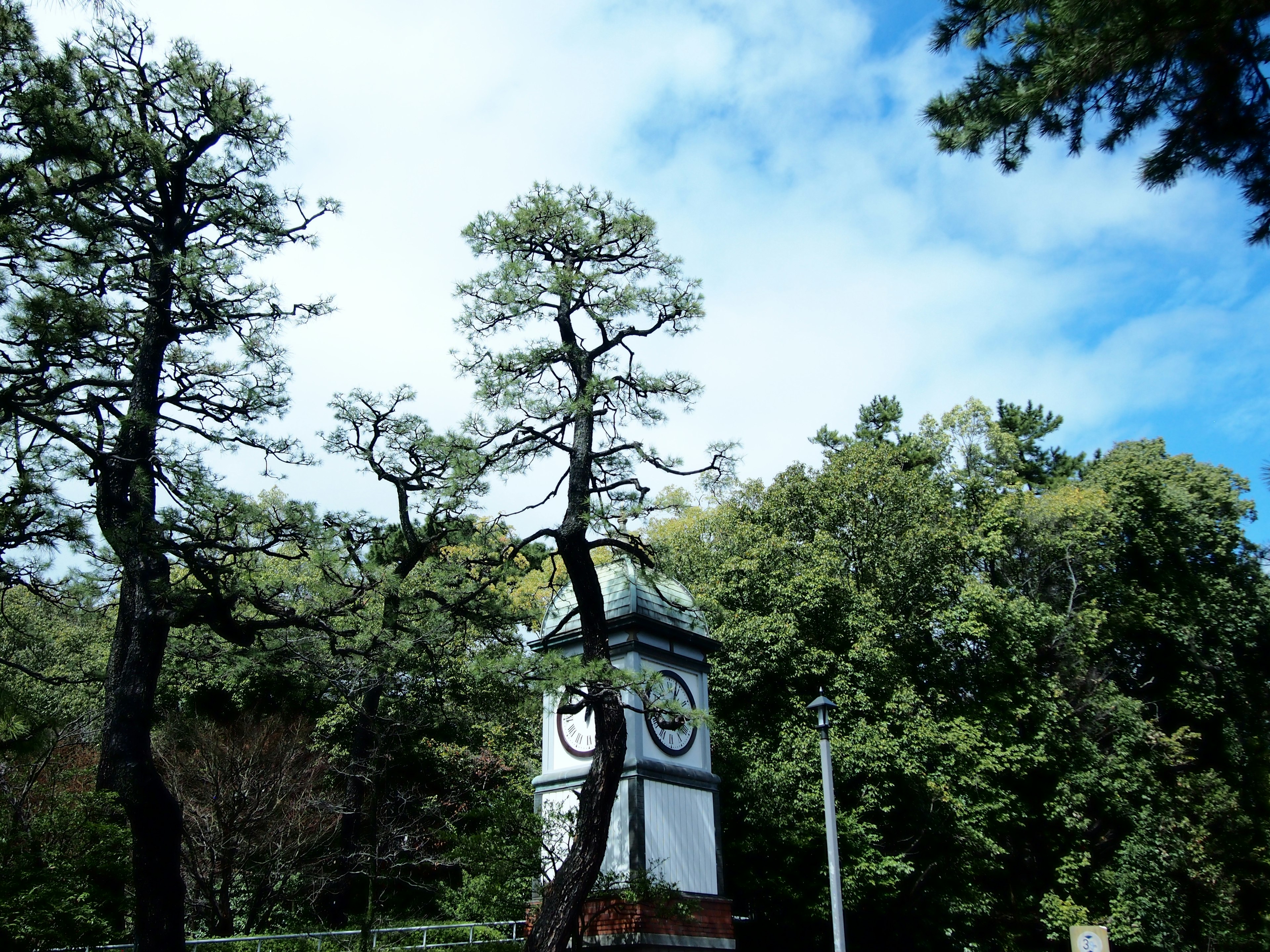 Uhrturm umgeben von üppigen grünen Bäumen unter einem blauen Himmel