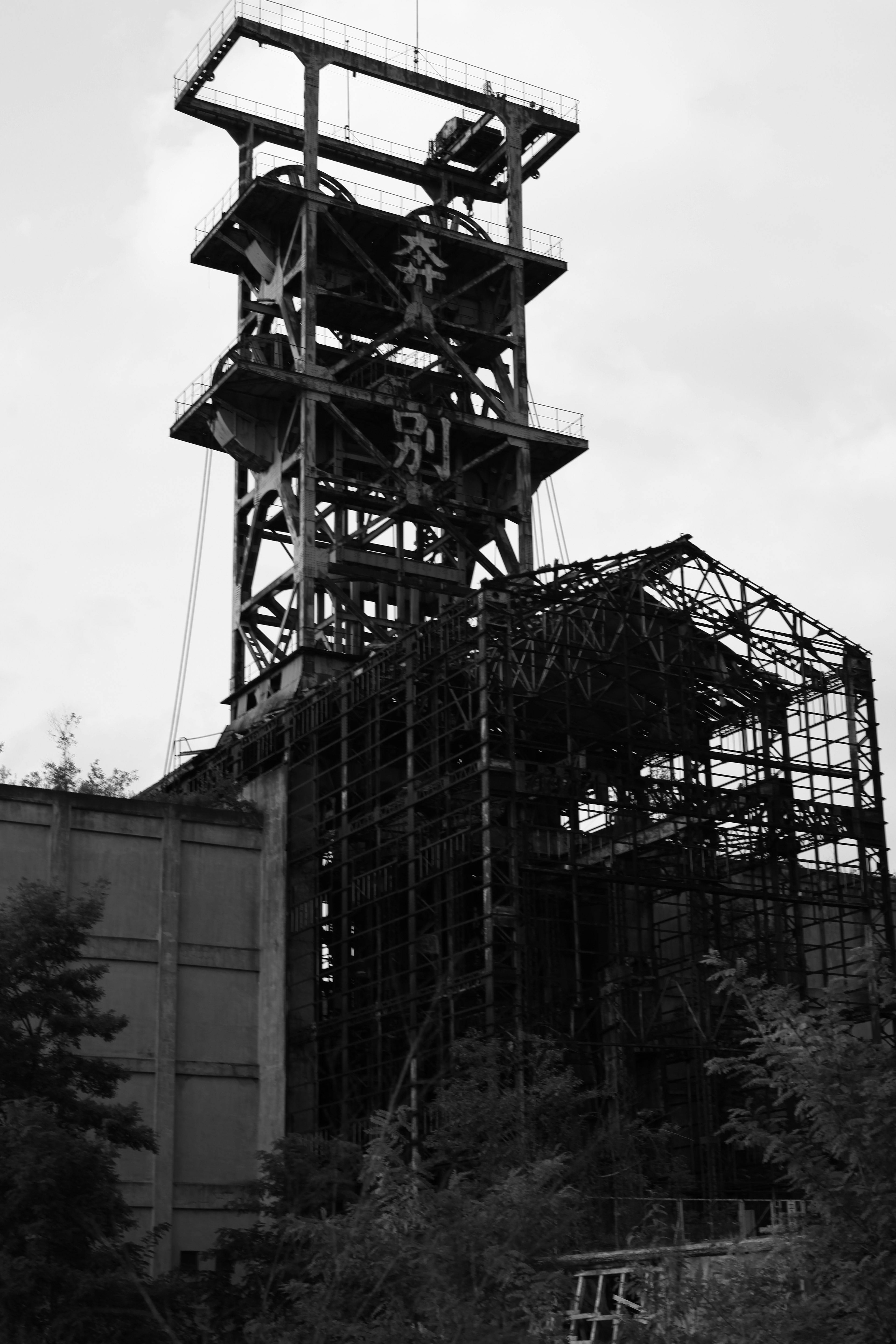 Black and white image of a mining tower surrounded by vegetation