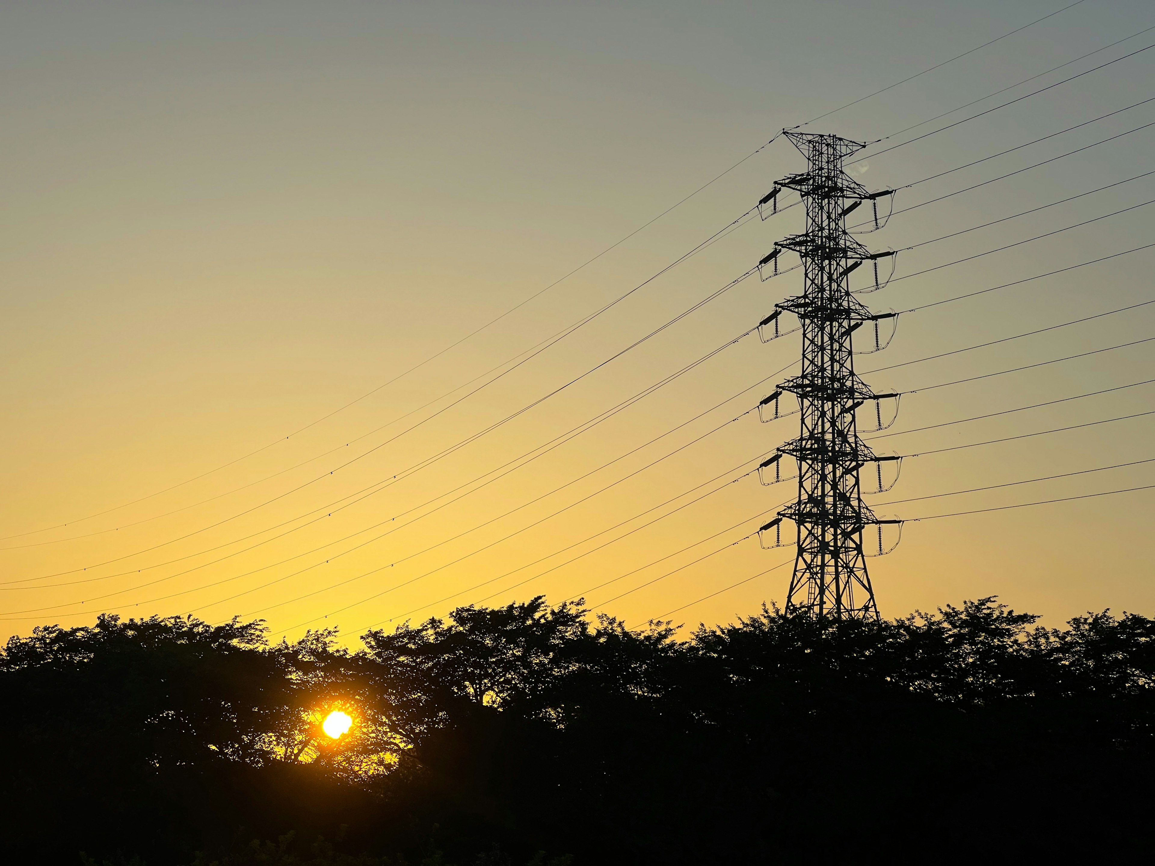 Silhouette of trees and a power tower against a sunset