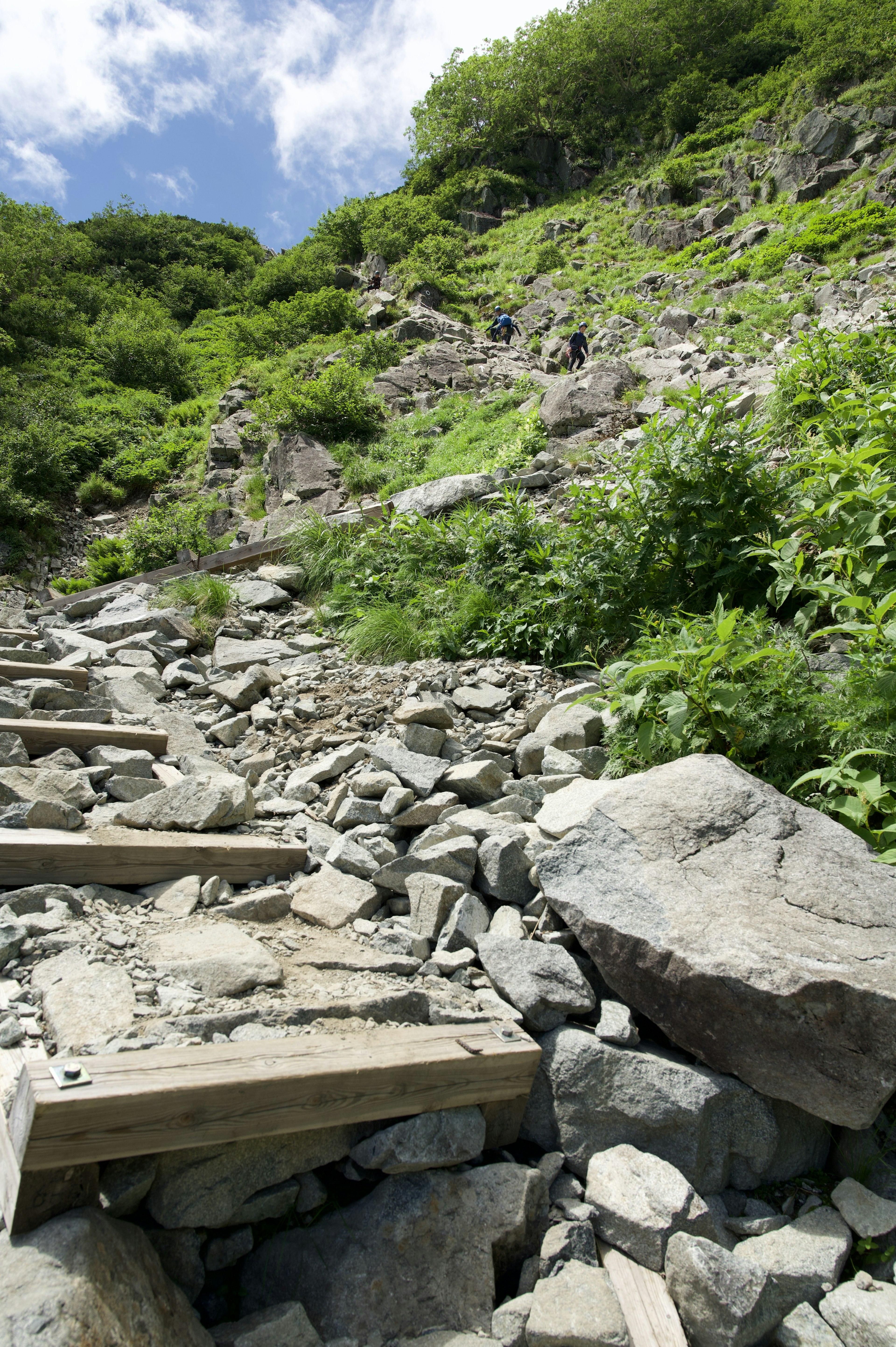 緑の斜面に沿った石の小道と木のステップが見える自然の風景